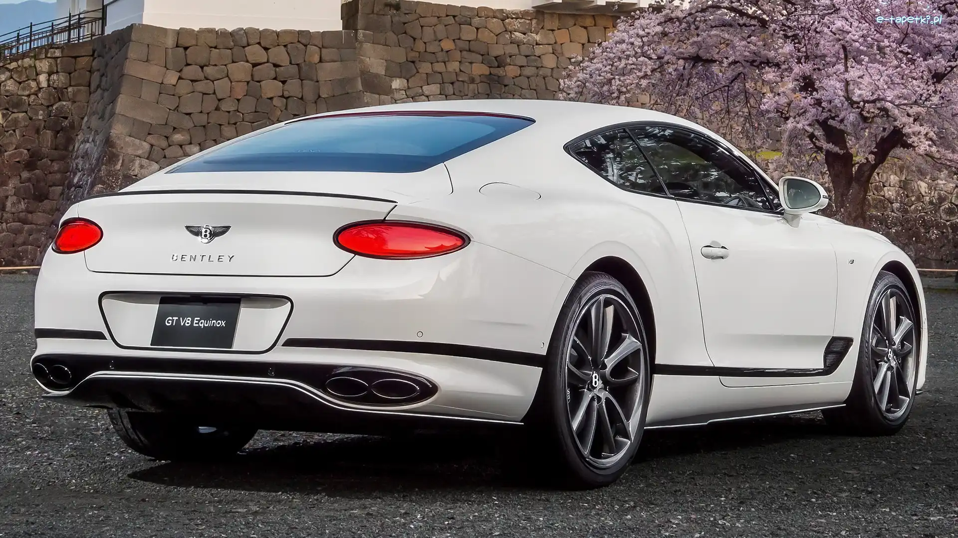 Tył, Bentley Continental GT