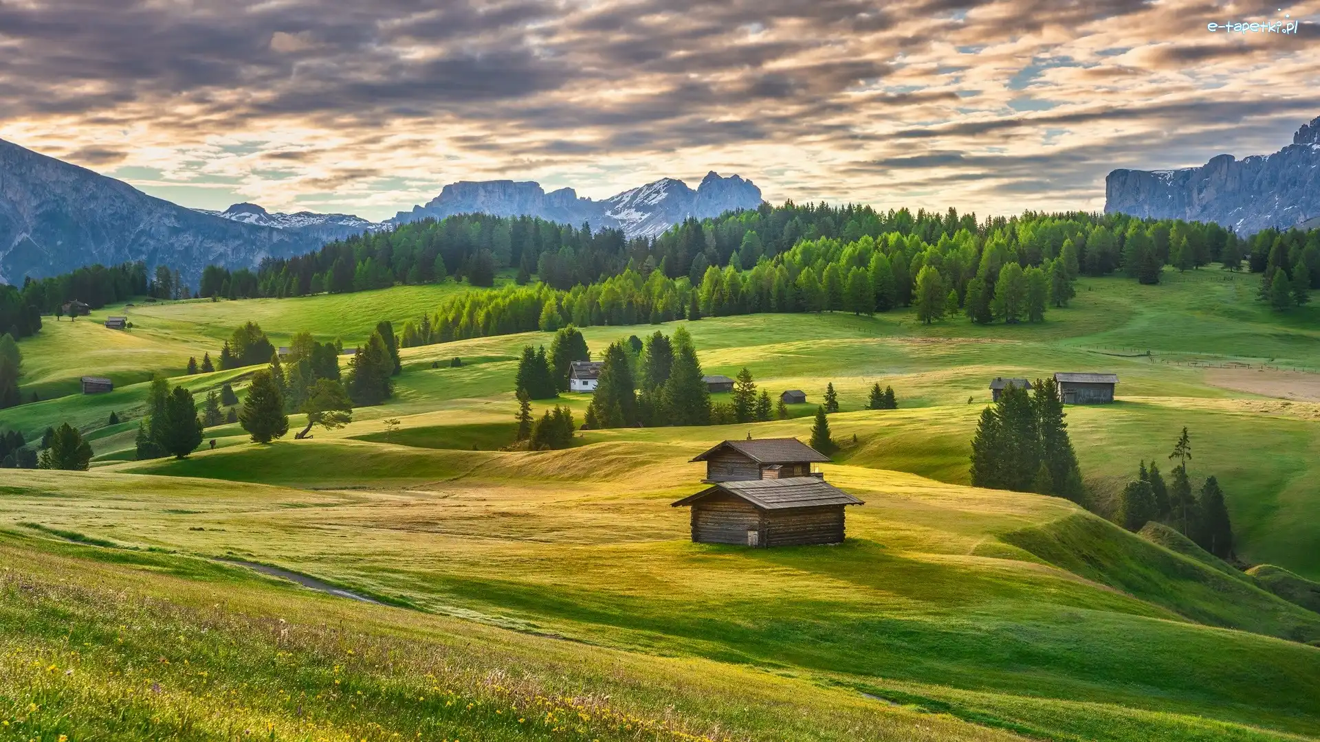 Drzewa, Góry Sassolungo, Włochy, Łąki, Płaskowyż, Seiser Alm, Domki, Dolina Val Gardena, Dolomity, Chmury