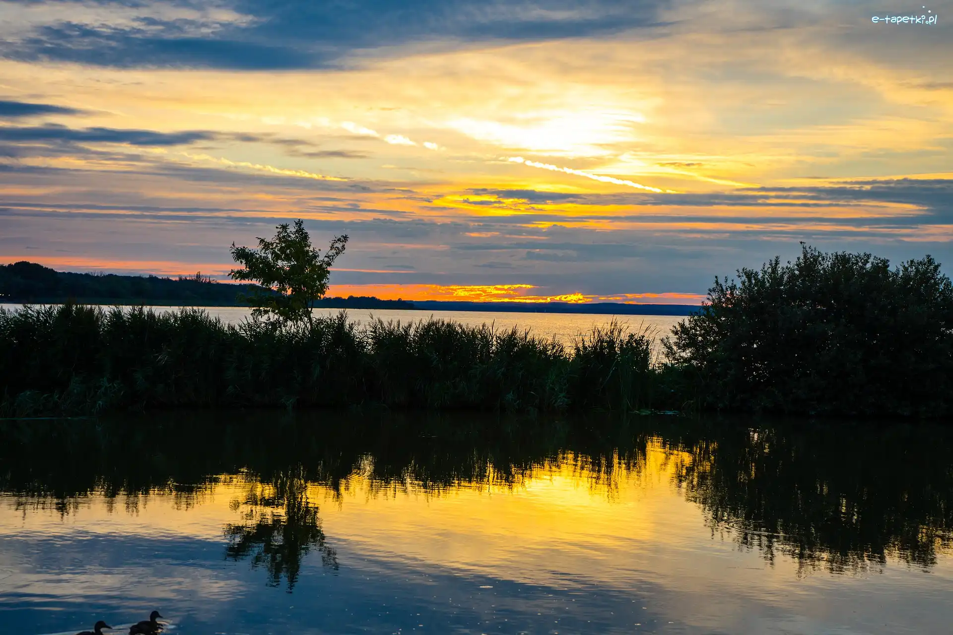 Jezioro Balaton, Krzewy, Zachód słońca, Węgry, Trawa