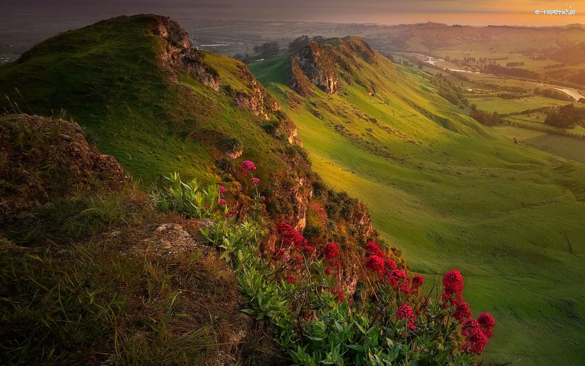 Te Mata Park, Góry, Czerwone, Wzgórza, Zielone, Nowa Zelandia, Dolina, Kwiaty, Rzeka