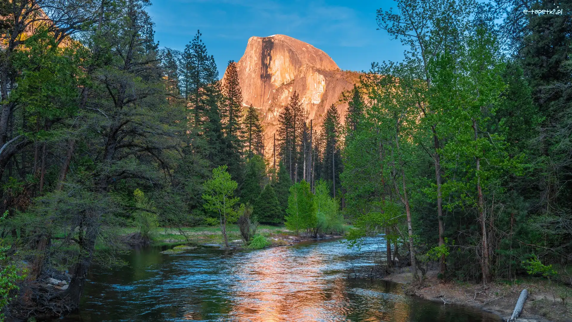 Góry, Kalifornia, Drzewa, Merced River, Park Narodowy Yosemite, Szczyt Half Dome, Rzeka, Stany Zjednocznone