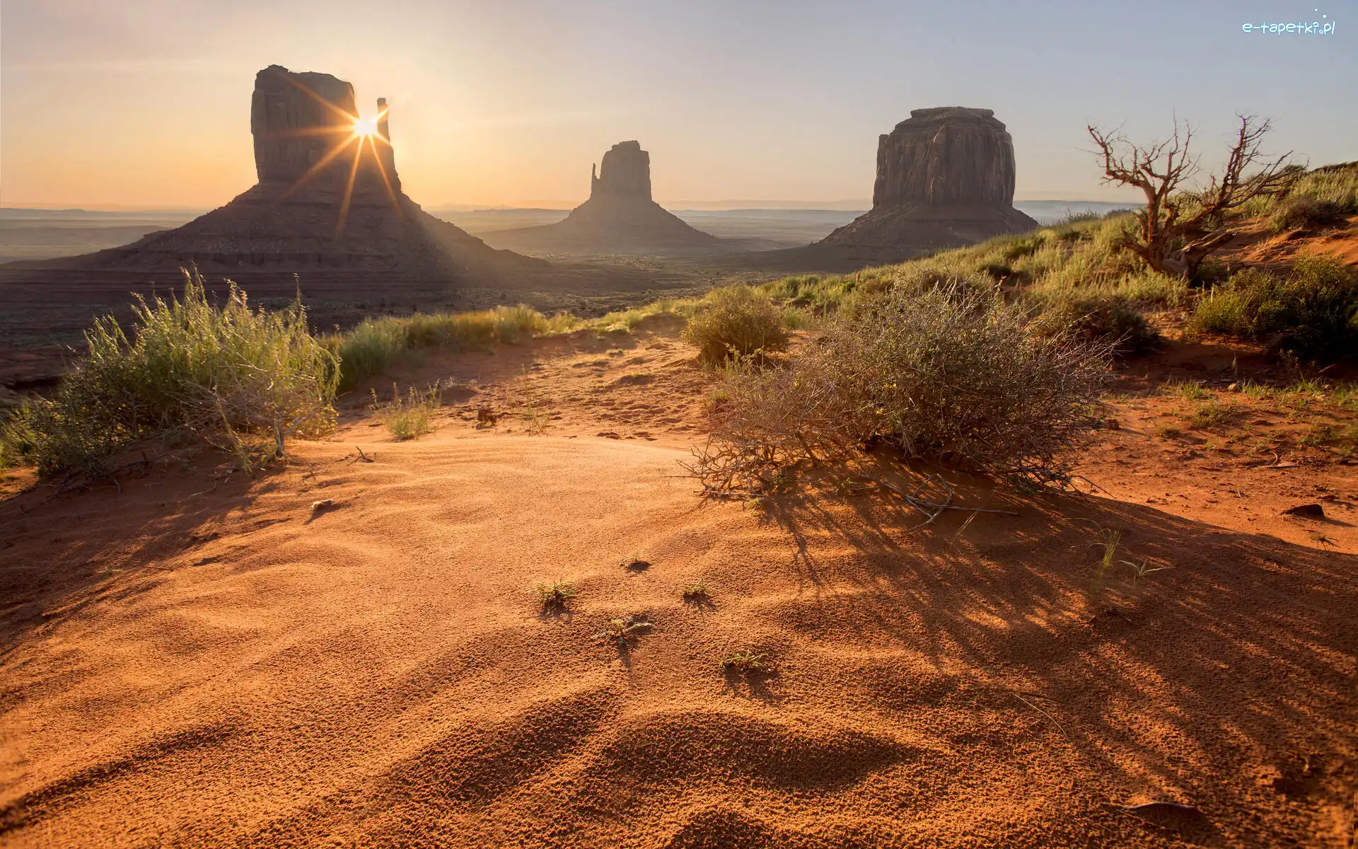 Stany Zjednoczone, Dolina Pomników, Skały, Region Monument Valley, Wyżyna Kolorado, Stan Utah, Krzewy