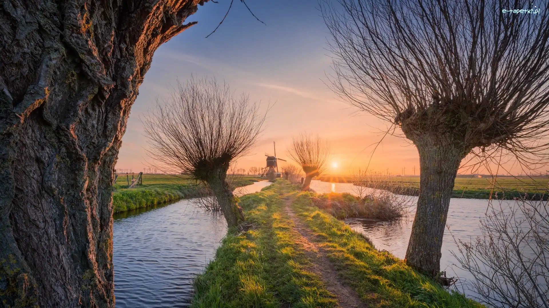 Holandia, Wschód słońca, Drzewa, Rzeka, Wiatraki, Wieś Kinderdijk, Wierzby