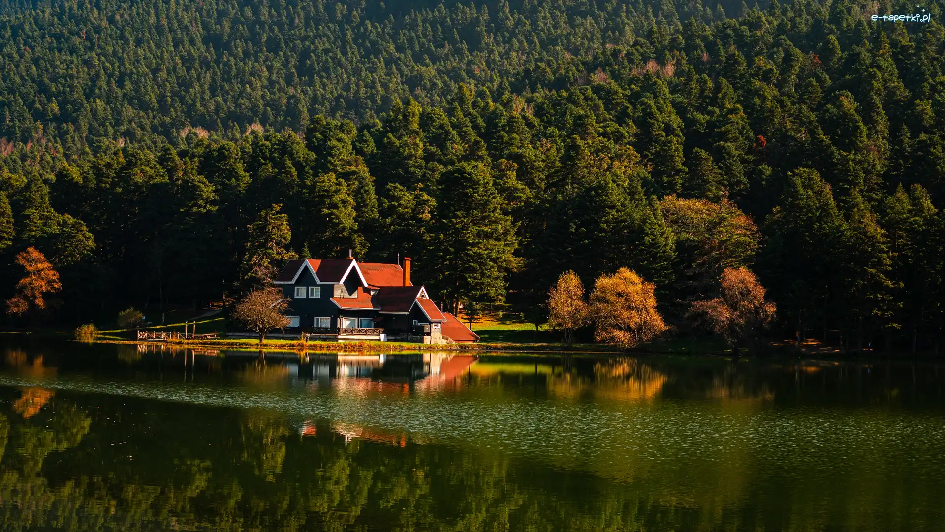Jezioro Golcuk, Lasy, Dom, Turcja, Prowincja Bolu
