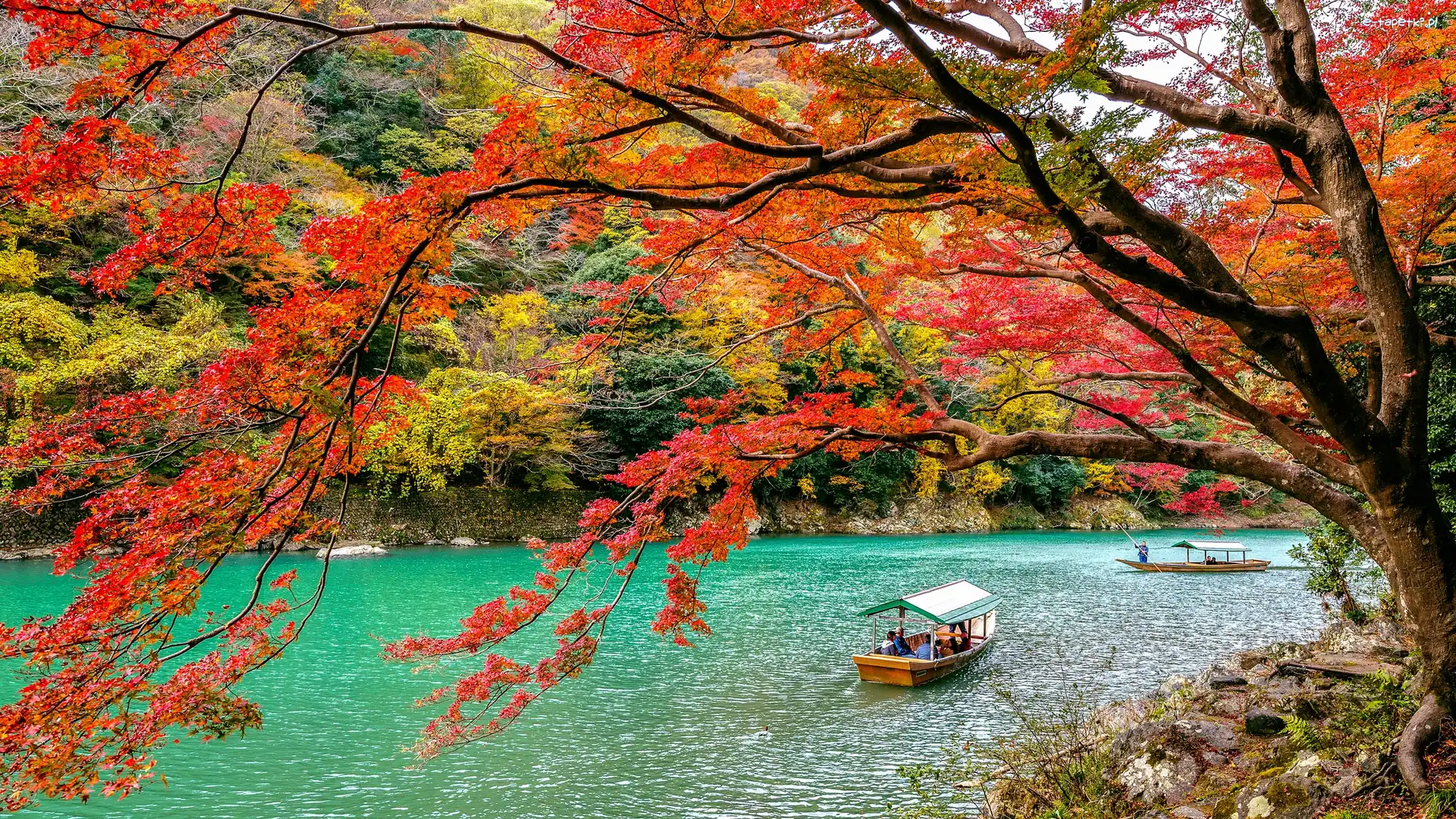 Japonia, Kolorowe, Drzewa, Łódki, Rzeka Hozu, Kioto, Dzielnica Arashiyama