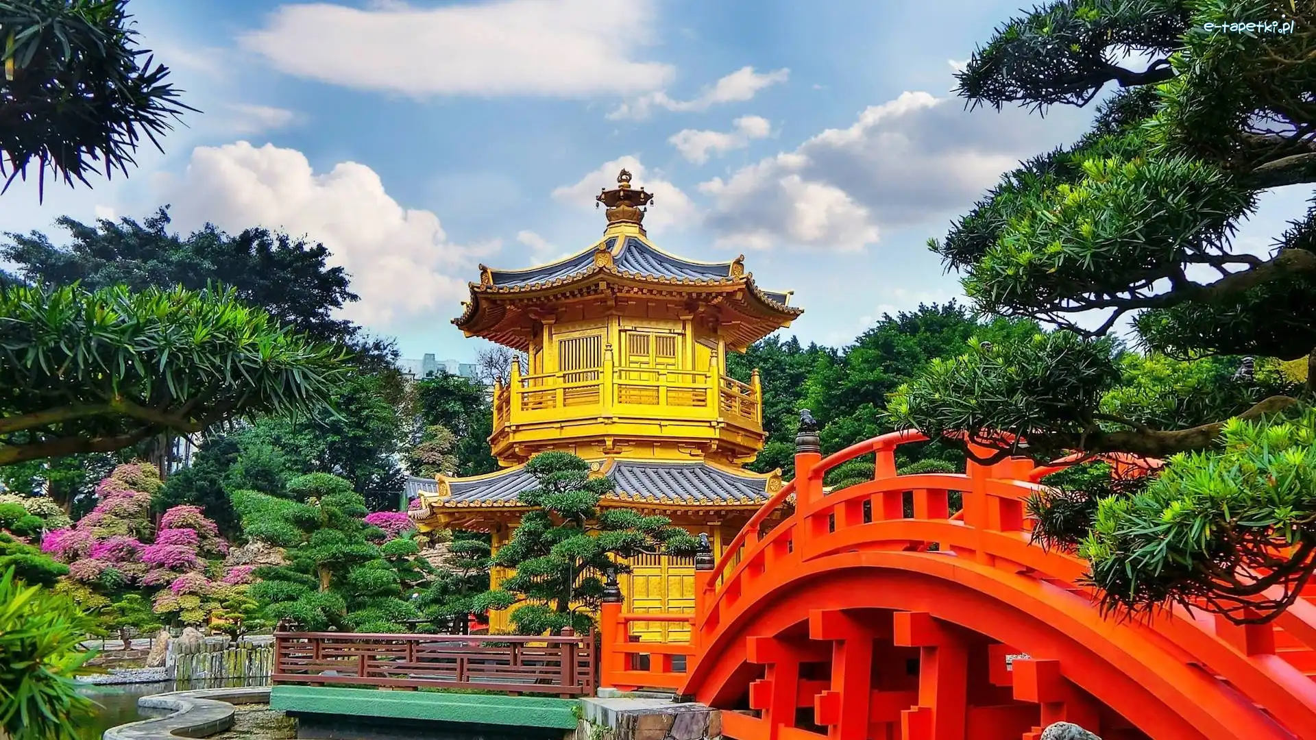 Chiny, Ogród, Chi Lin Nunnery, Golden Pavilion Chi Lin Nunnery Temple, Świątynia, Hongkong, Most Diamond Hill