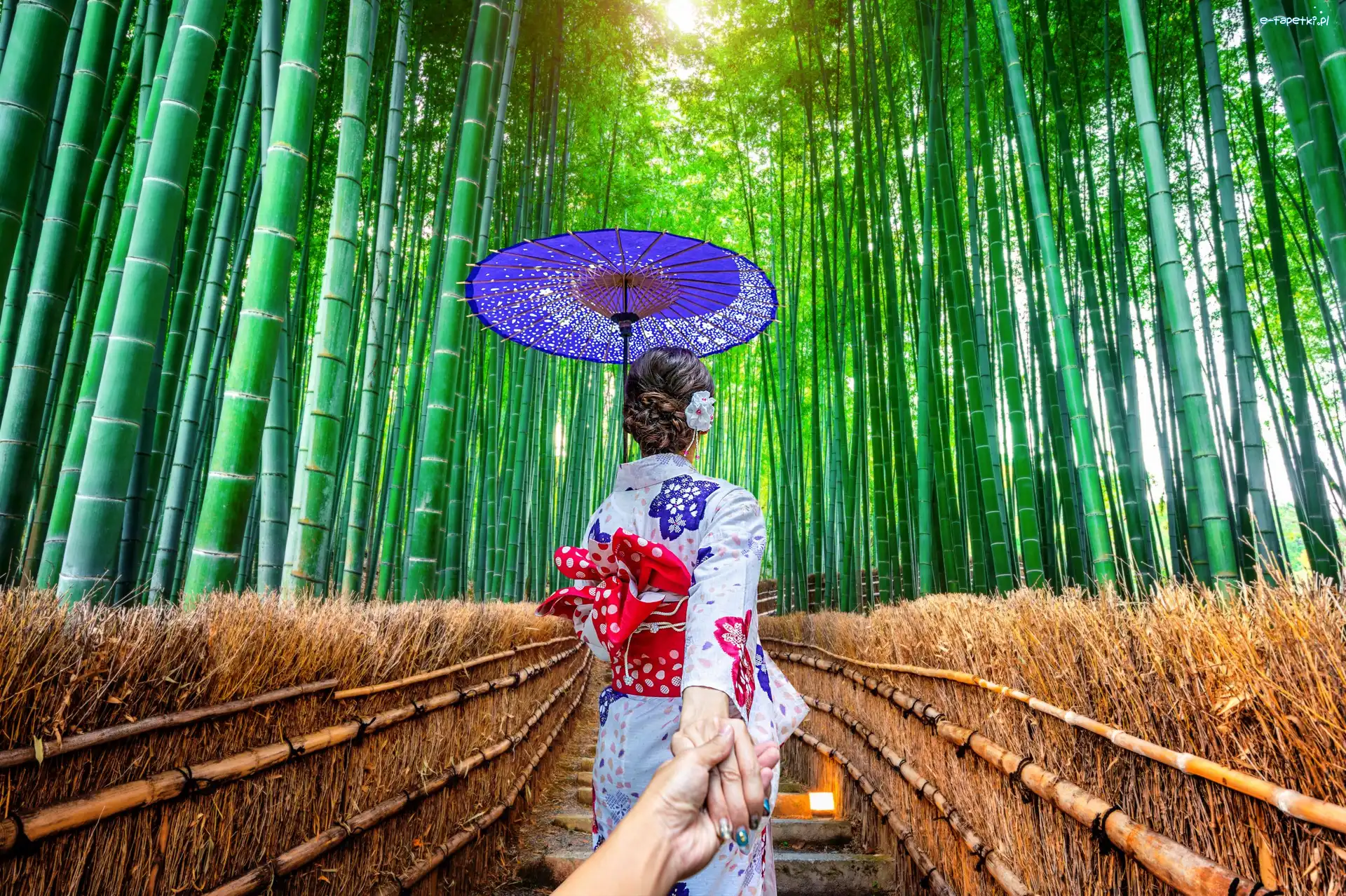 Las bambusowy, Schody, Kimono, Azjatka, Kobieta, Japonia, Kioto, Parasolka, Arashiyama Bamboo Forest