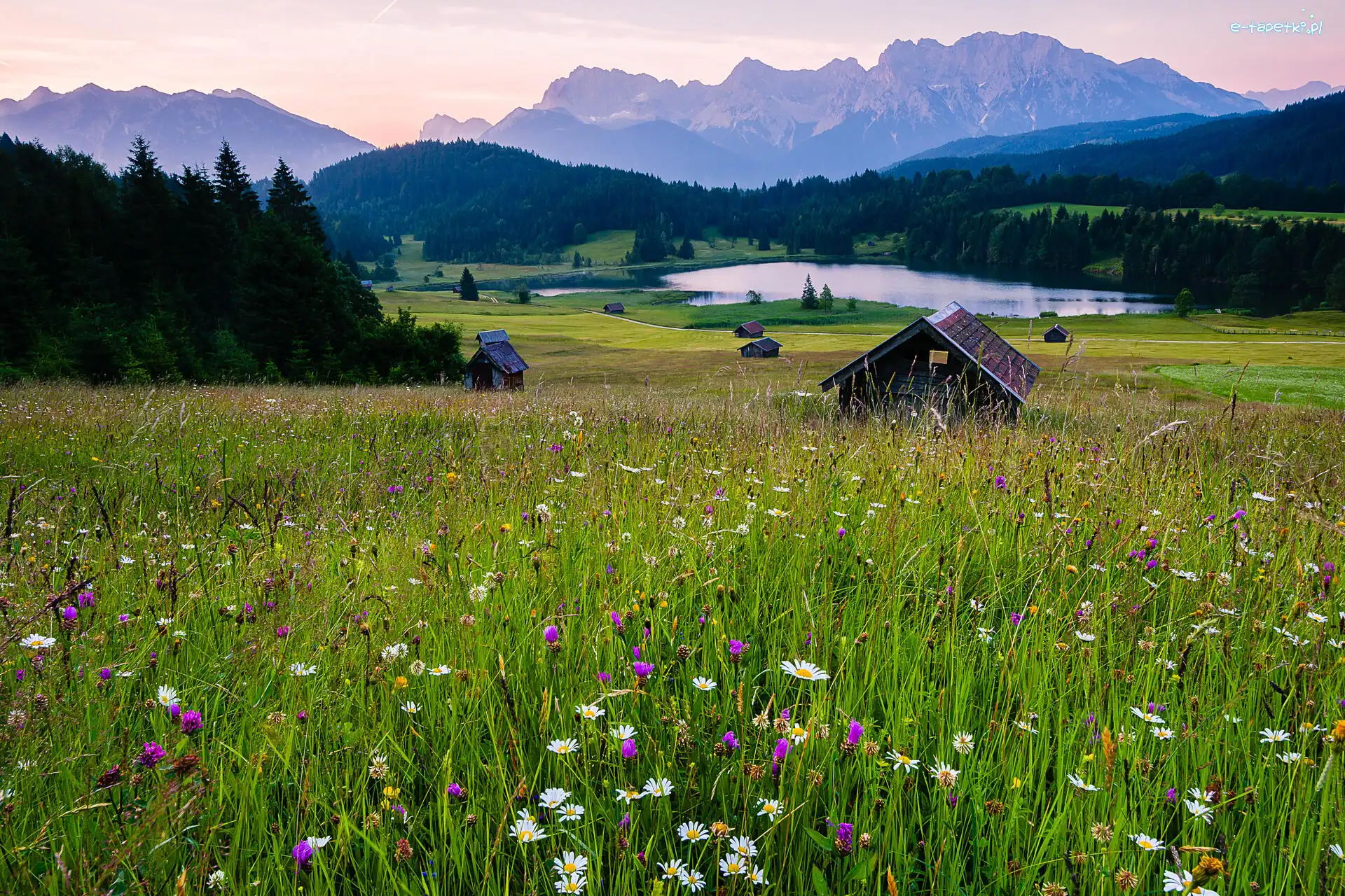 Domki, Kwiaty, Łąka, Lasy, Alpy, Bawaria, Szopy, Góry, Drzewa, Niemcy, Jezioro Geroldsee, Polana