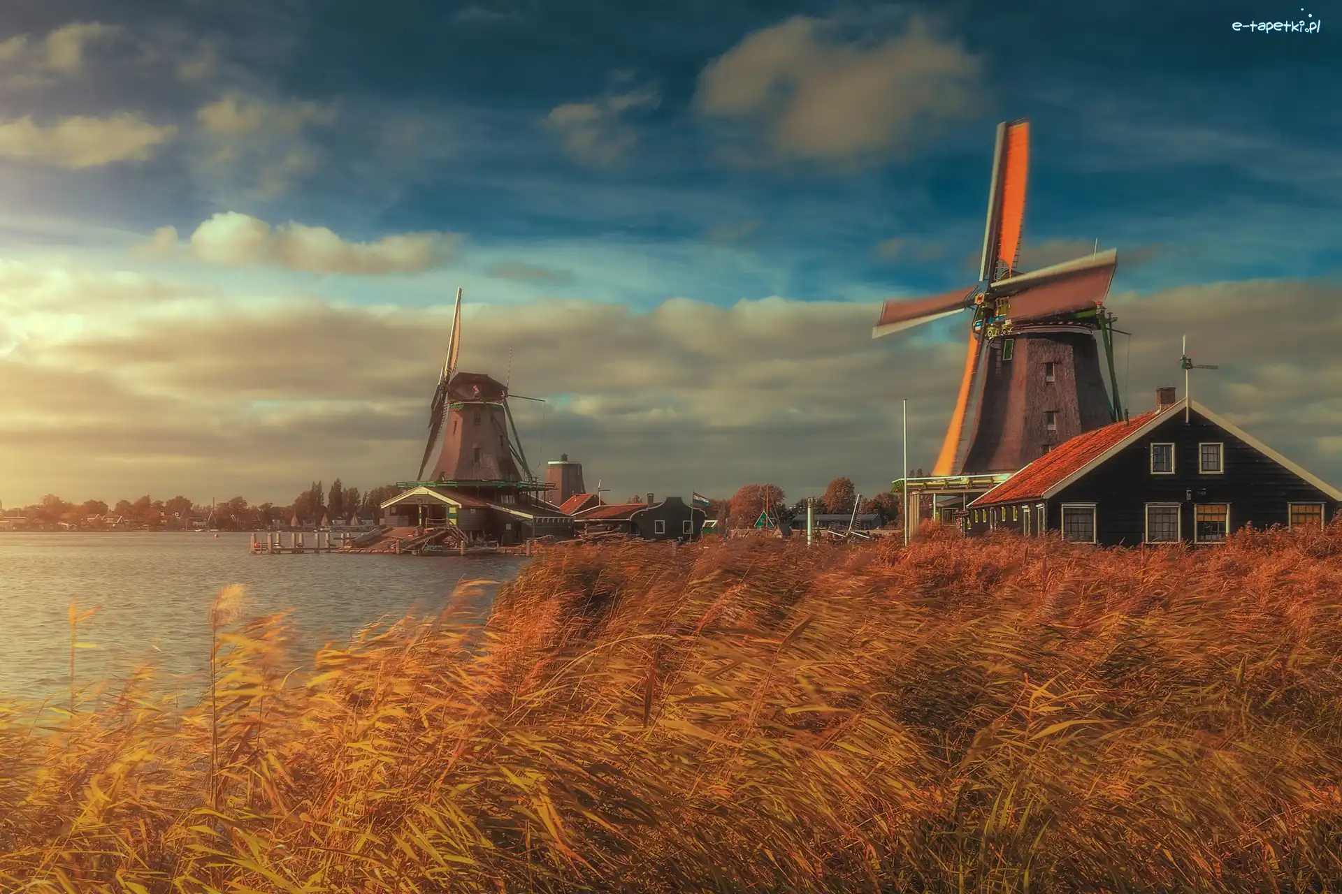 Trawy, Domki, Holandia, Zaandam, Rzeka Zaan, Skansen, Zaanse Schans, Wiatraki