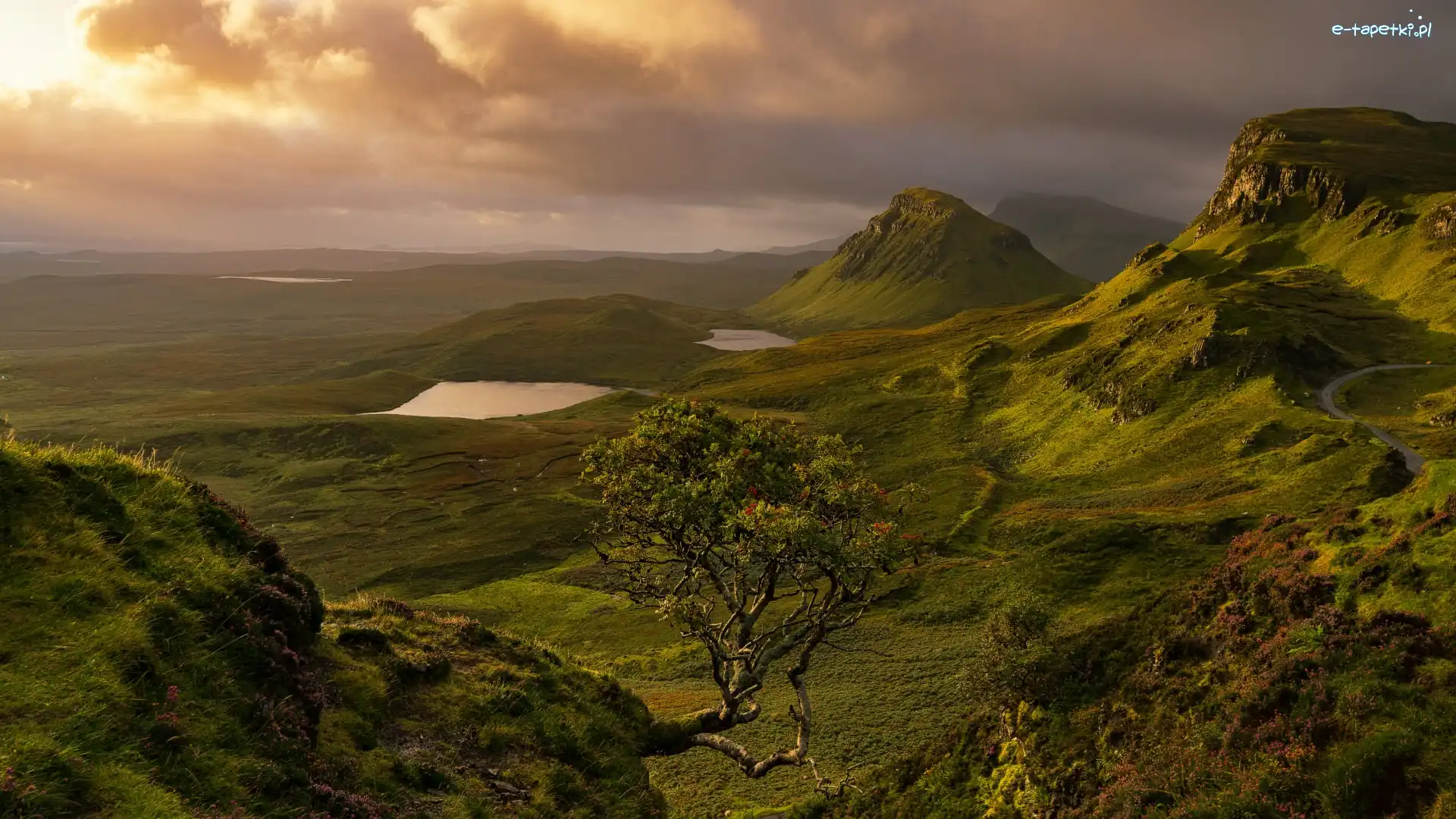 Szkocja, Drzewo, Chmury, Jeziora, Góry, Quiraing, Wyspa Skye