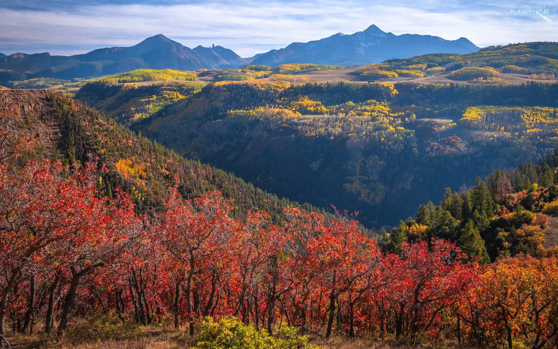 San Juan Mountains, Góry, Telluride, Kolorado, Stany Zjednoczone, Topole, Drzewa, Jesień, Kolorowe