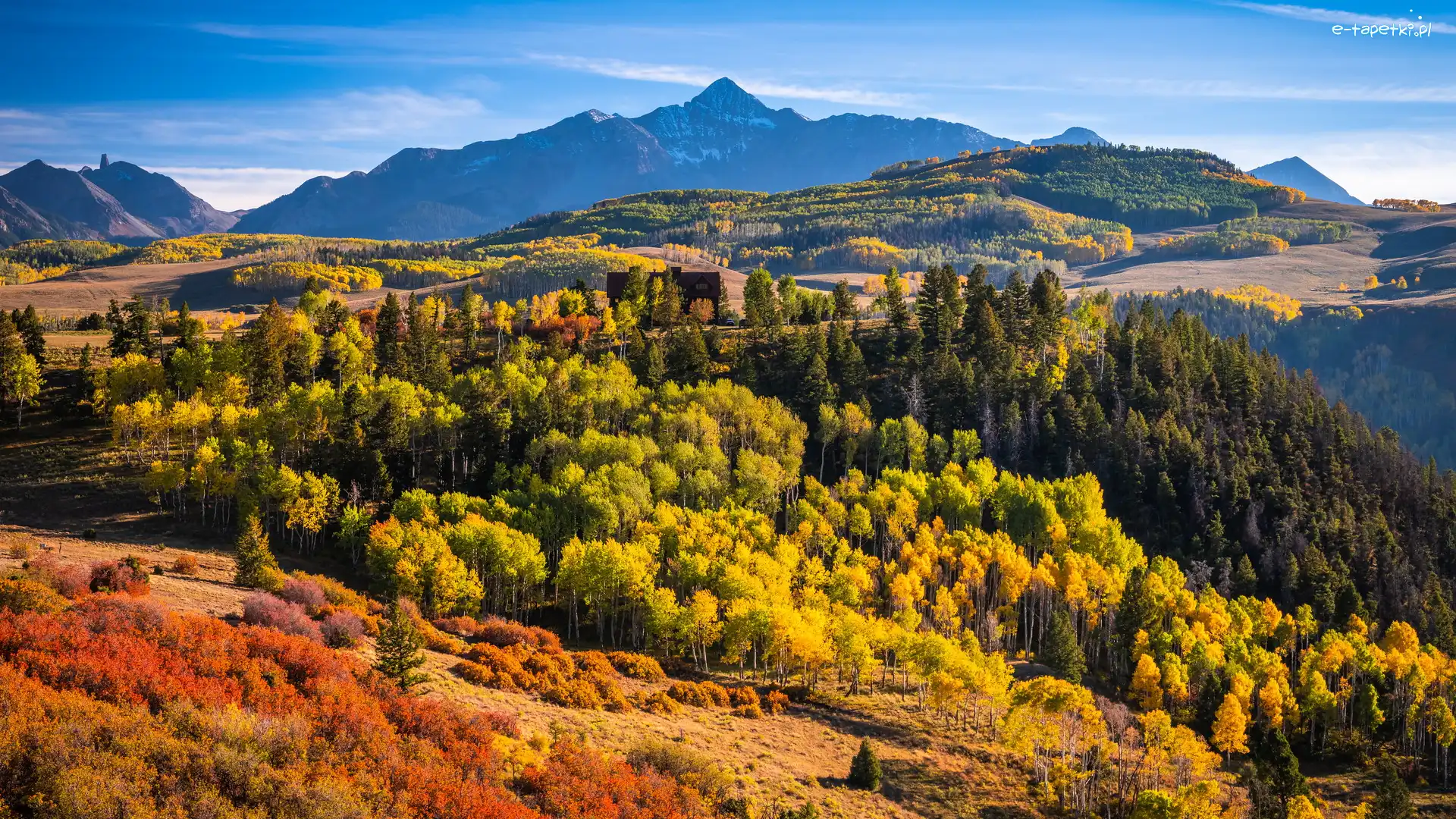 Wilson Peak, Stany Zjednoczone, Las, Telluride, Drzewa, Góry, Góra, Góry, San Juan Mountains, Stan Kolorado, Jesień