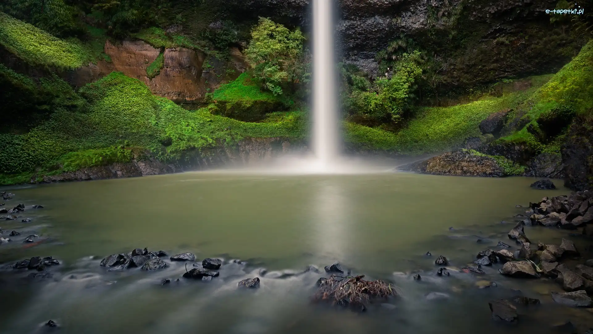Rośliny, Bridal Veil Falls, Nowa Zelandia, Region Waikato, Skały, Rzeka, Pakoka River, Wodospad