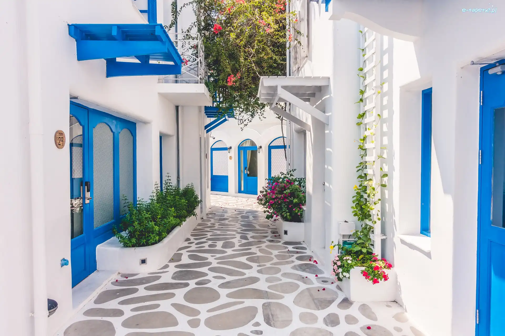 Uliczka, Białe, Domy, Grecja, Santorini, Drzwi, Niebieskie