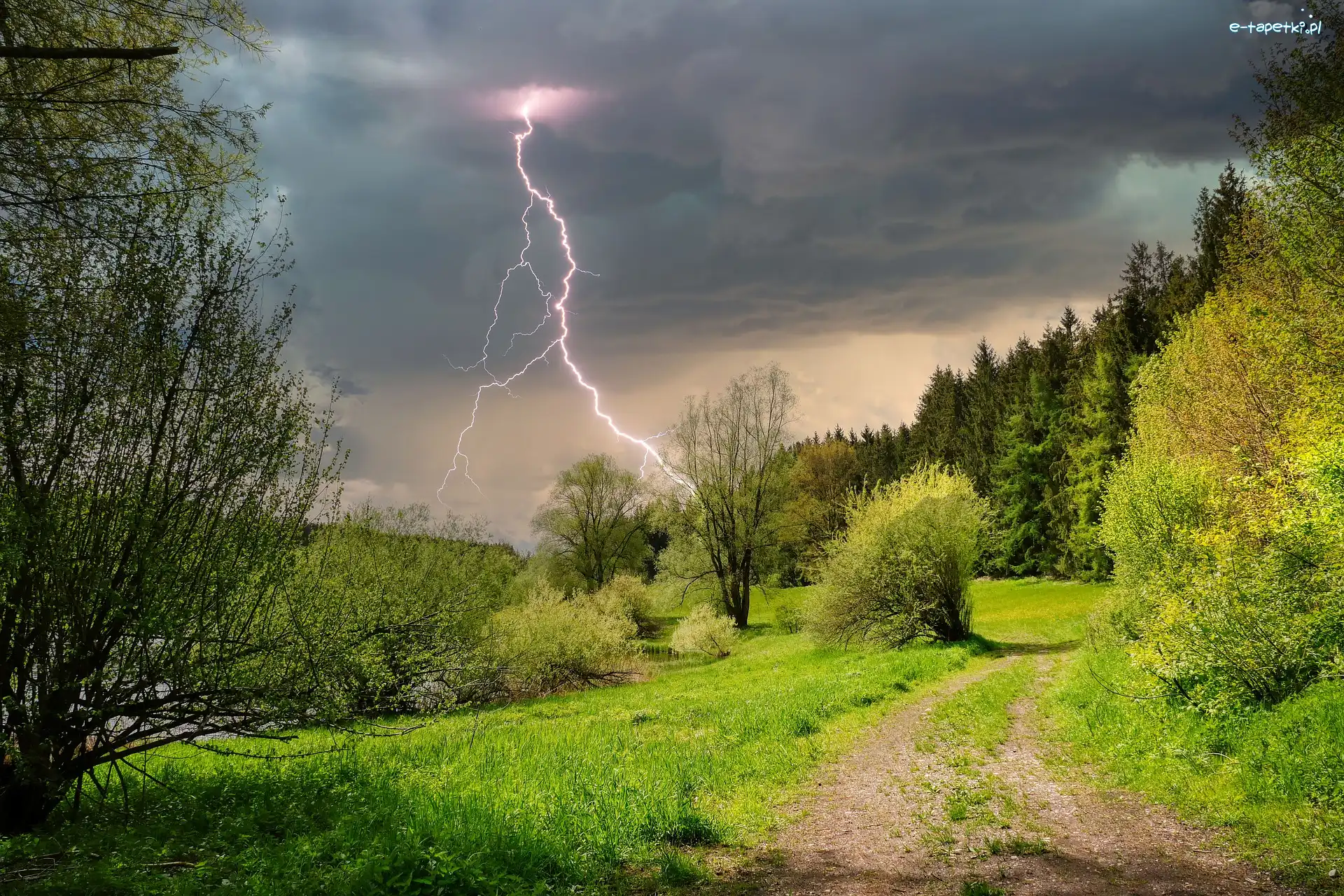 Wiosna, Błyskawica, Las, Piorun, Burza, Drzewa, Ścieżka