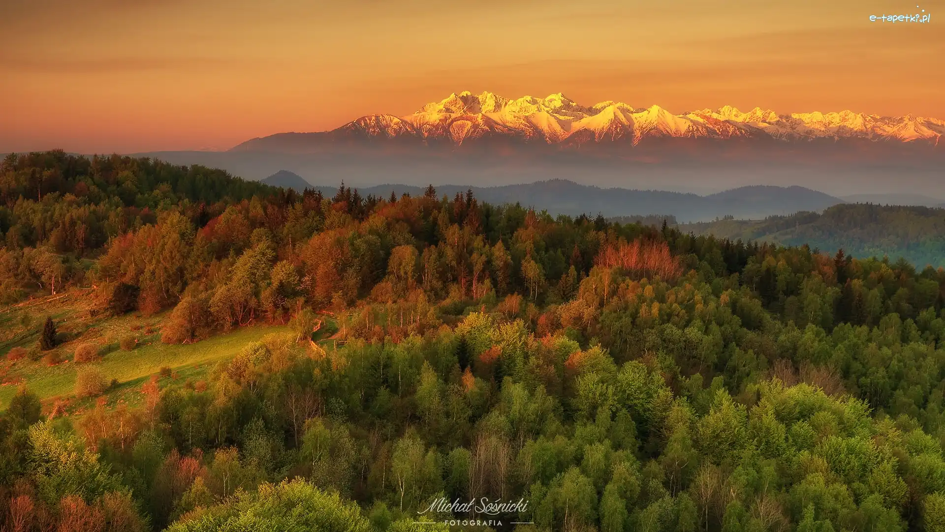 Las, Tatry, Góry, Polska, Wschód słońca