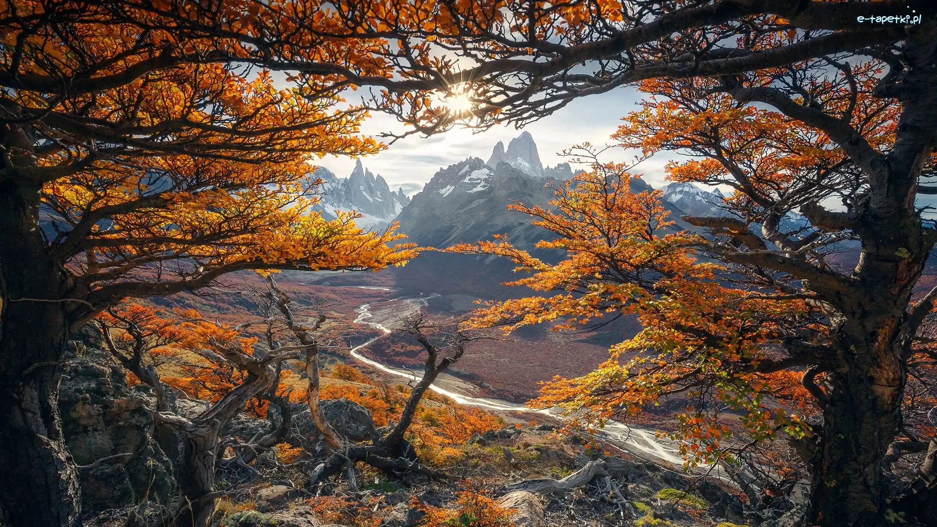 Drzewa, Patagonia, Promienie słońca, Gałęzie, Jesień, Góry, Szczyt Fitz Roy, Argentyna, Park Narodowy Los Glaciares, Rzeka Rio de las Vueltas