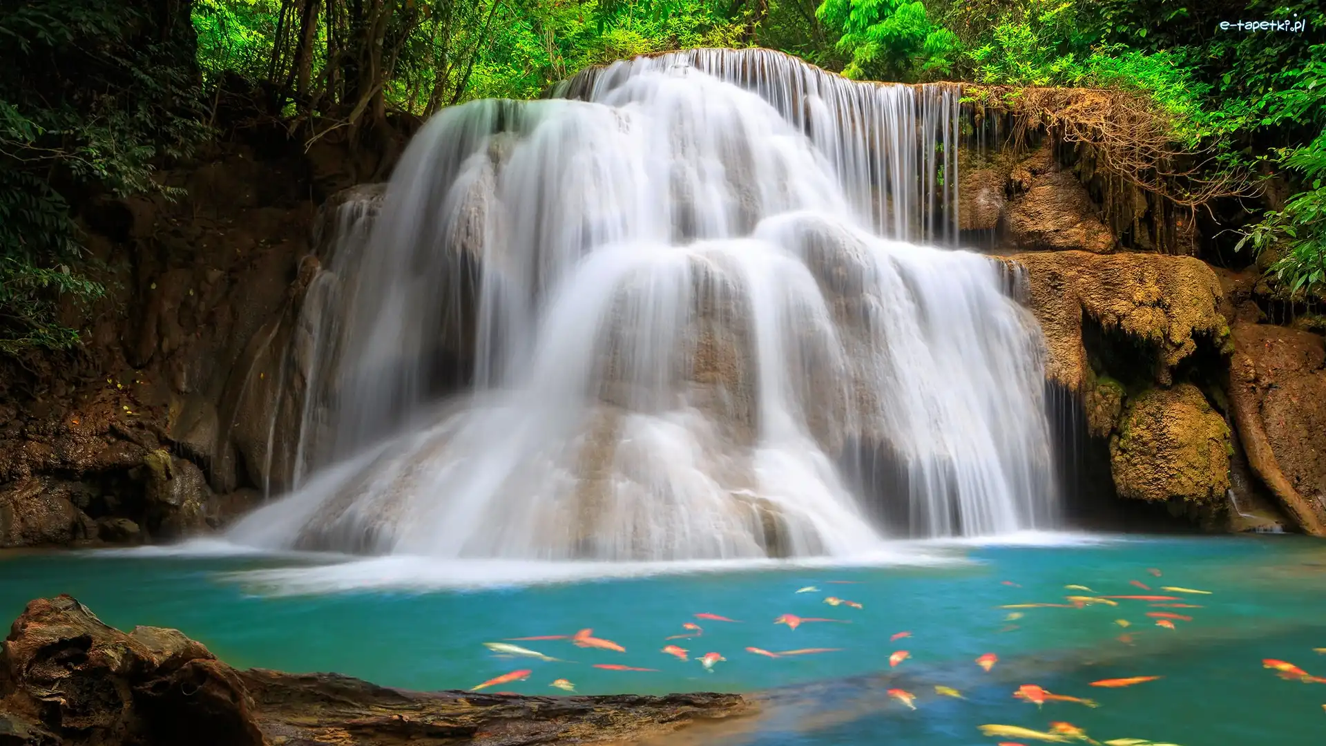 Tajlandia, Rzeka, Ryby, Huai Mae Khamin Waterfall, Wodospad, Kanchanaburi, Skały