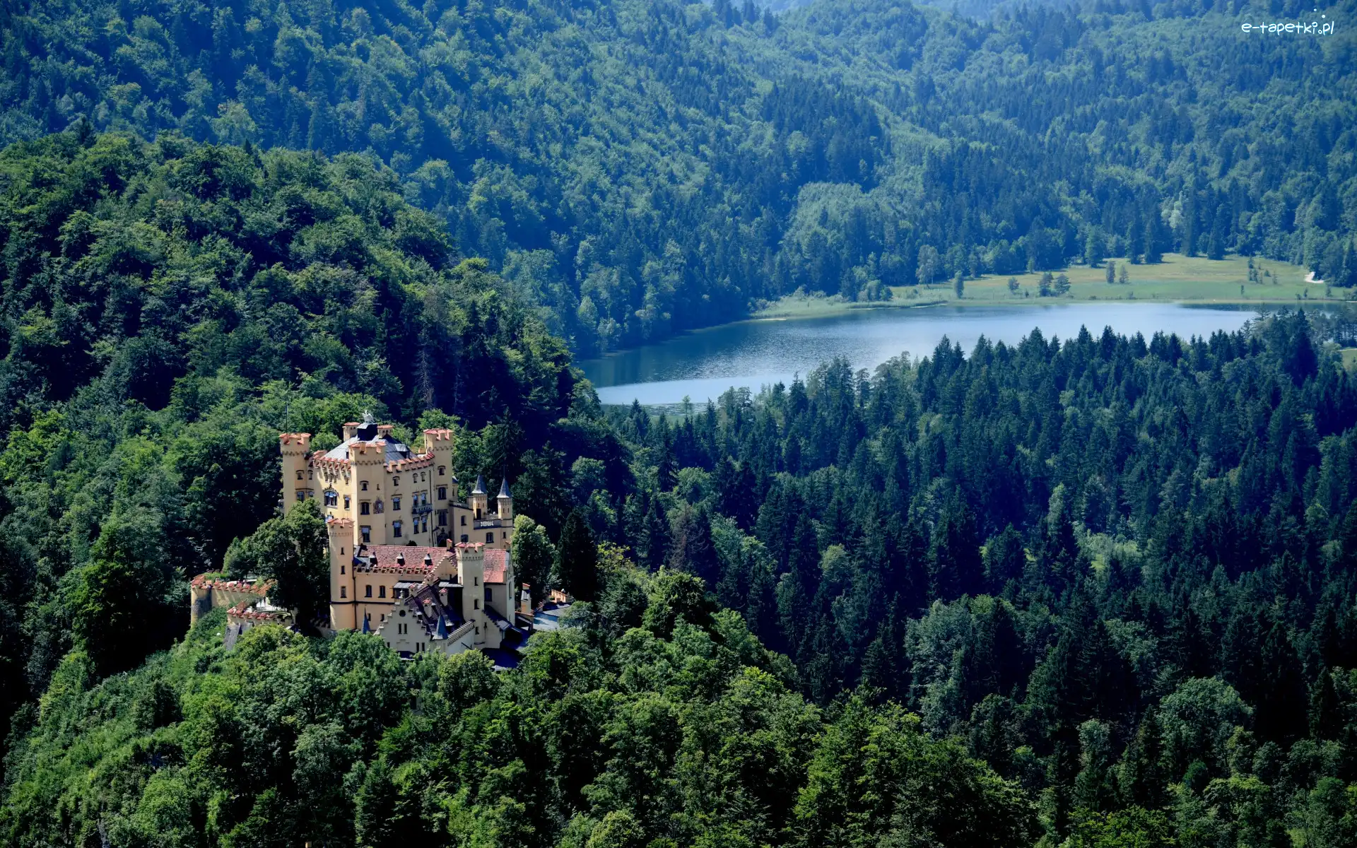 Niemcy, Drzewa, Zamek Hohenschwangau, Lasy, Góry, Bawaria, Jezioro Alpsee