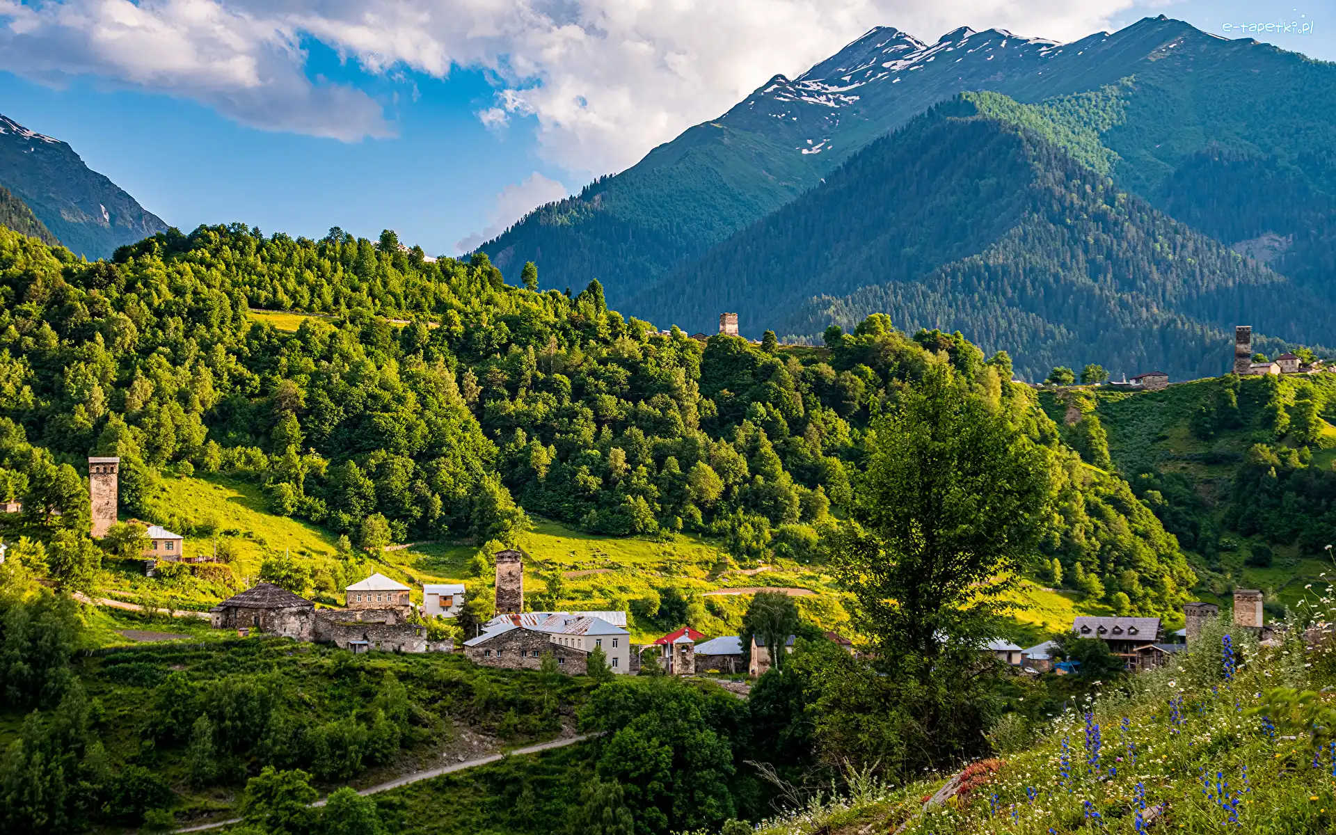 Drzewa, Ushguli, Góry, Swanetia, Gruzja, Lasy, Domy