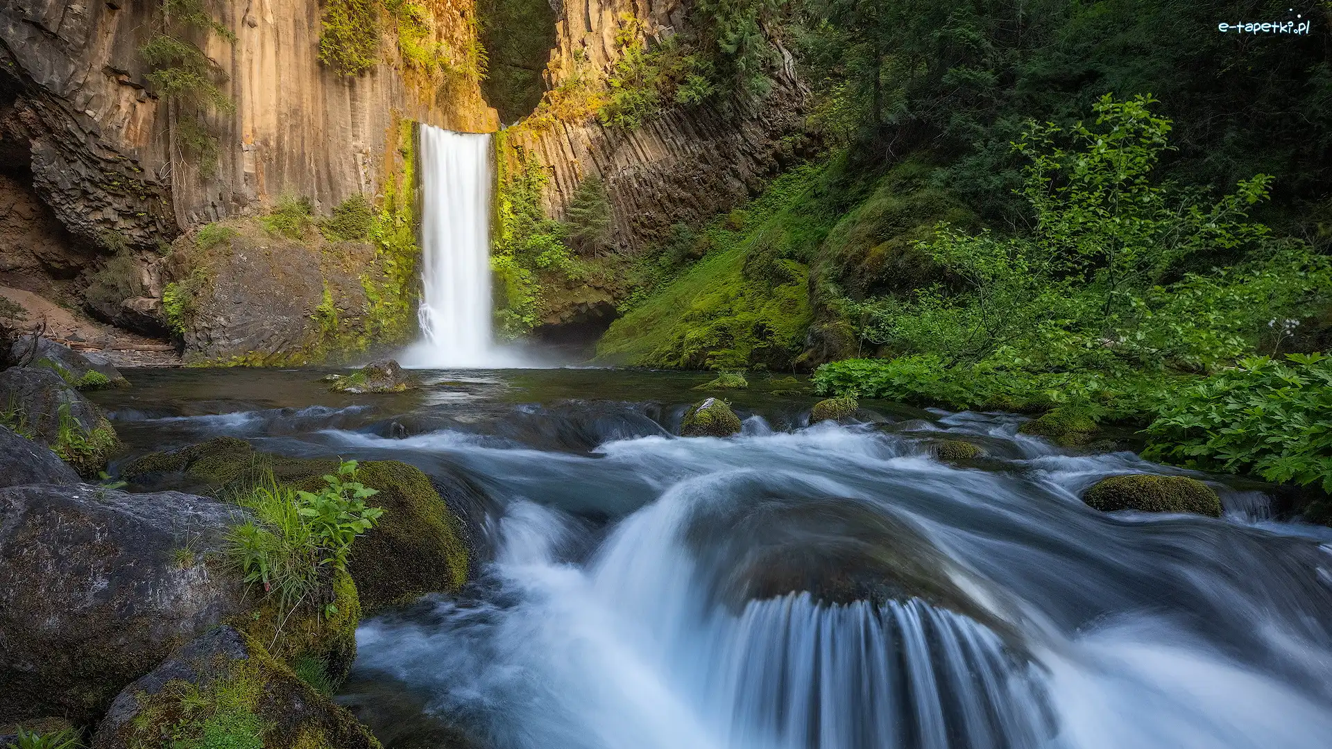 North Umpqua River, Toketee Falls, Stany Zjednoczone, Stan Oregon, Rzeka, Skały, Drzewa, Wodospad