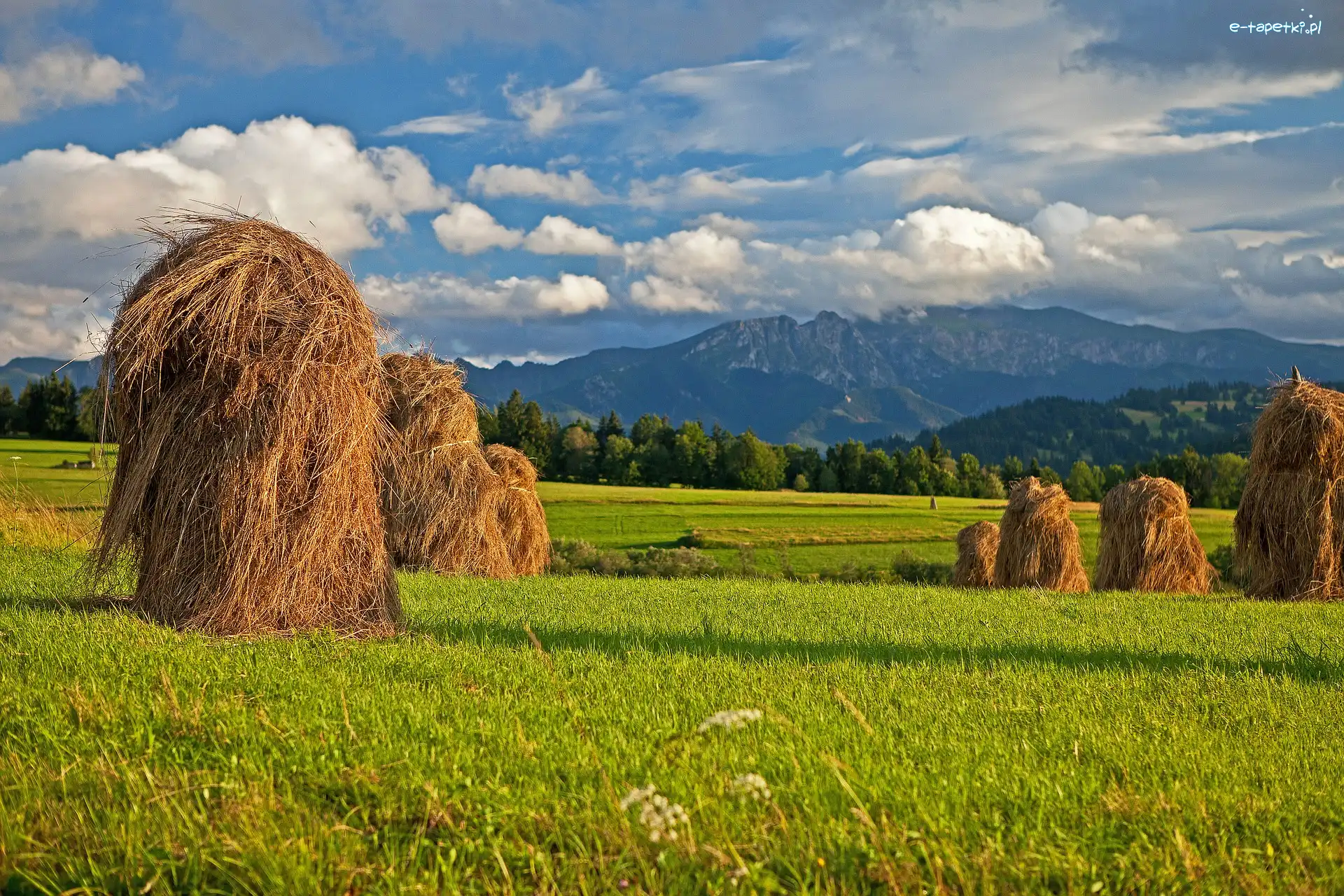 Góry, Farmy i pola, Polska, Podhale, Siano, Słoneczny, Blask, Łąka, Snopki, Tatry