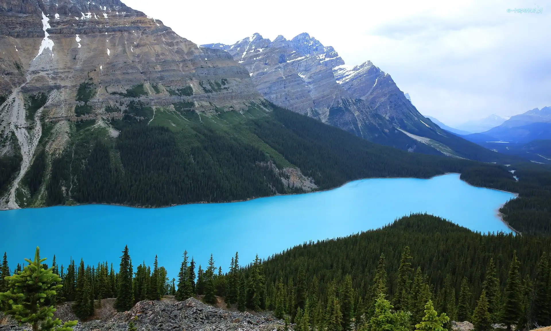 Kanada, Peyto Lake, Góry, Jezioro, Park Narodowy Banff, Prowincja Alberta, Drzewa