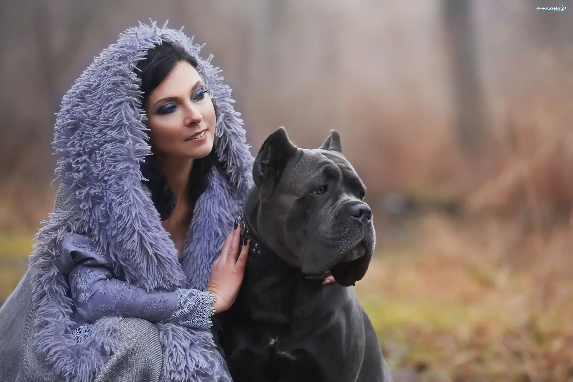 Kobieta, Duży, Makijaż, Cane corso, Pies