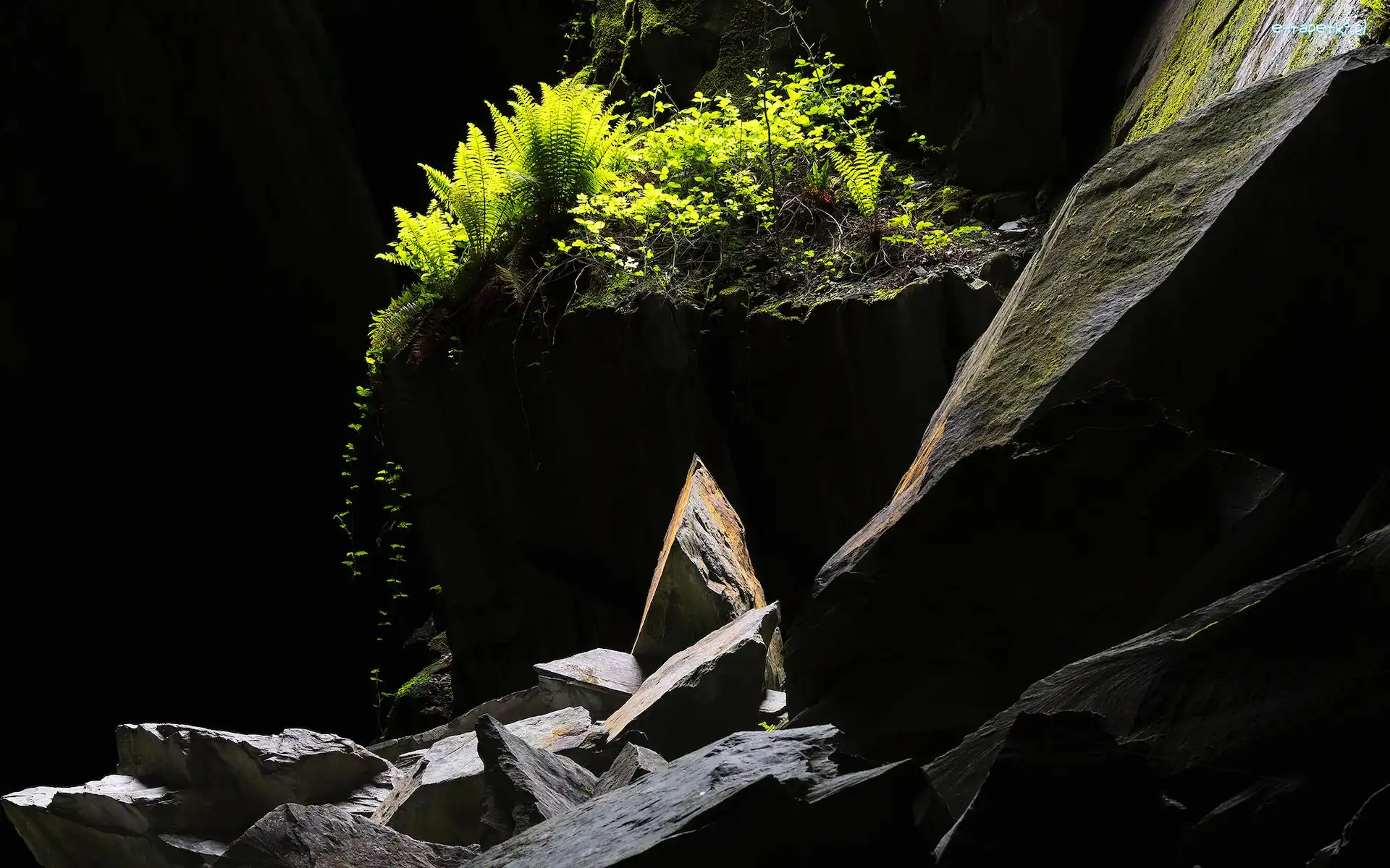 Cathedral Cave, Jaskinia, Paprocie, Grota, Skały, Anglia, Kumbria, Roślinność, Little Langdale