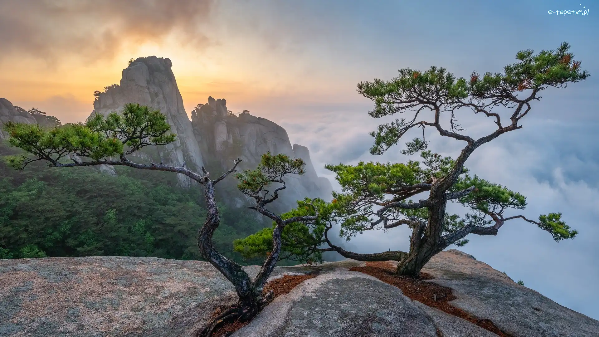 Słoneczne światło, Skały, Korea Południowa, Prowincja Gyeonggi, Sosny, Mgła, Park Narodowy Bukhansan, Góry