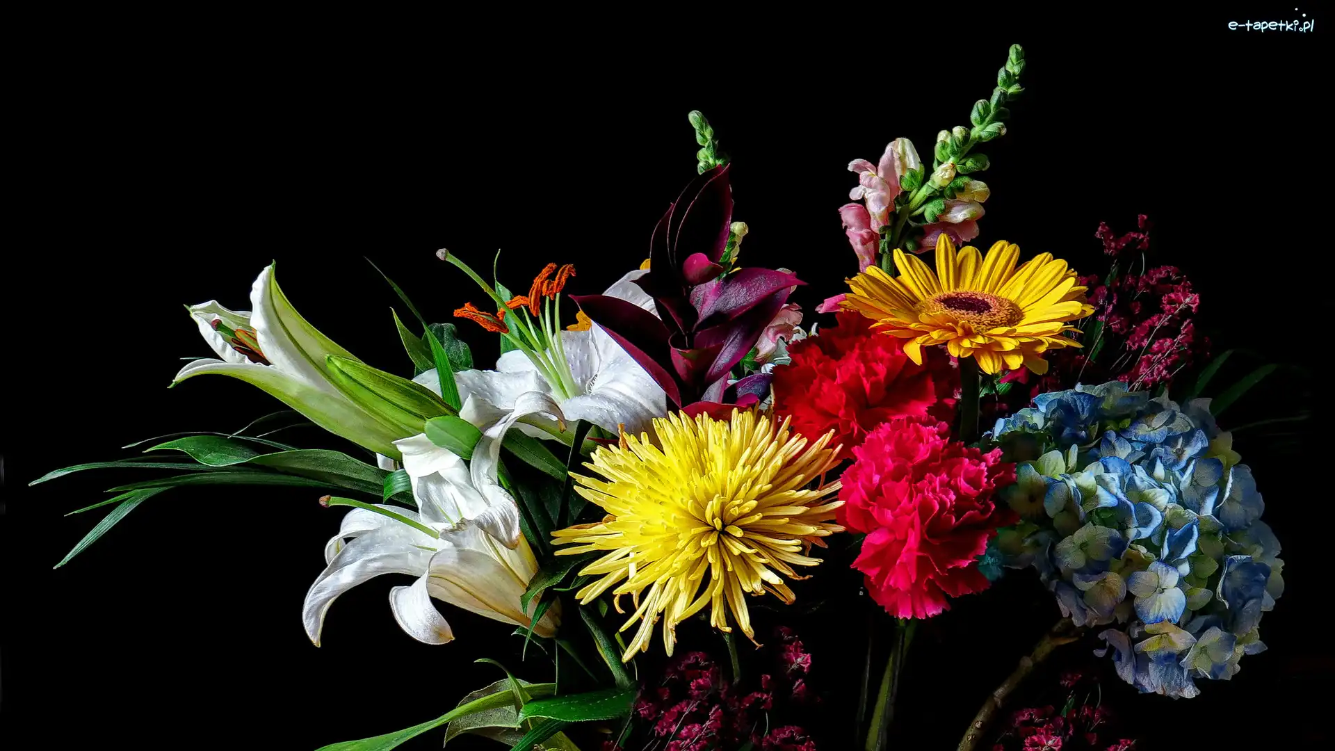 Gerbera, Lilie, Hortensje, Aster, Kwiaty, Bukiet