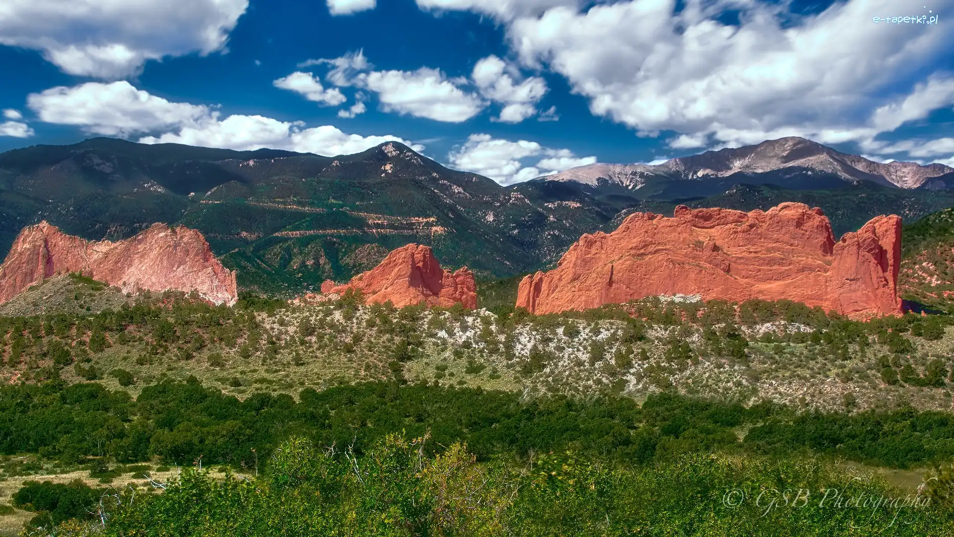 Rośliny, Garden of the Gods, Skały, Czerwone, Góry Skaliste, Kolorado, Colorado Springs, Park stanowy, Chmury