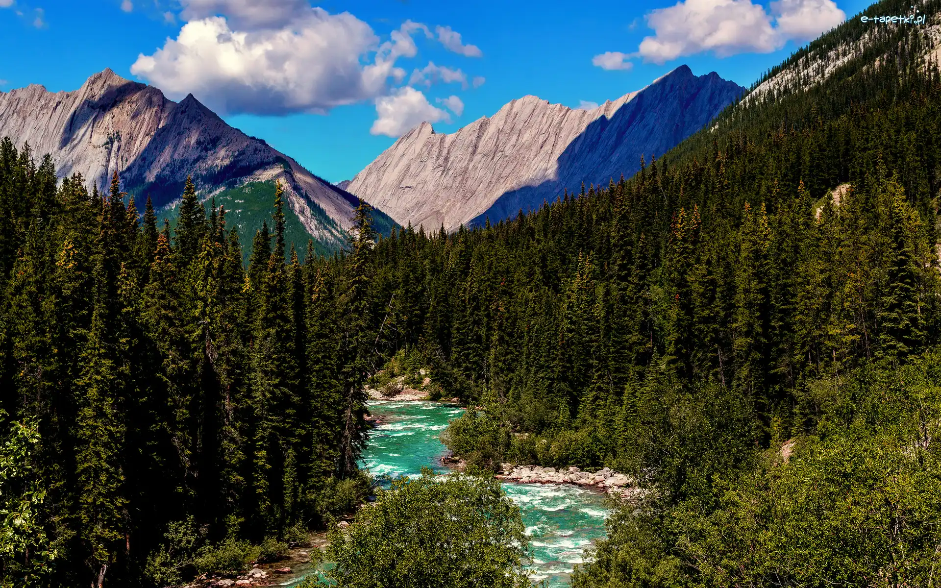 Lasy, Drzewa, Athabaska, Rzeka, Park Narodowy Jasper, Kanada, Alberta, Góry Skaliste, Obłoki