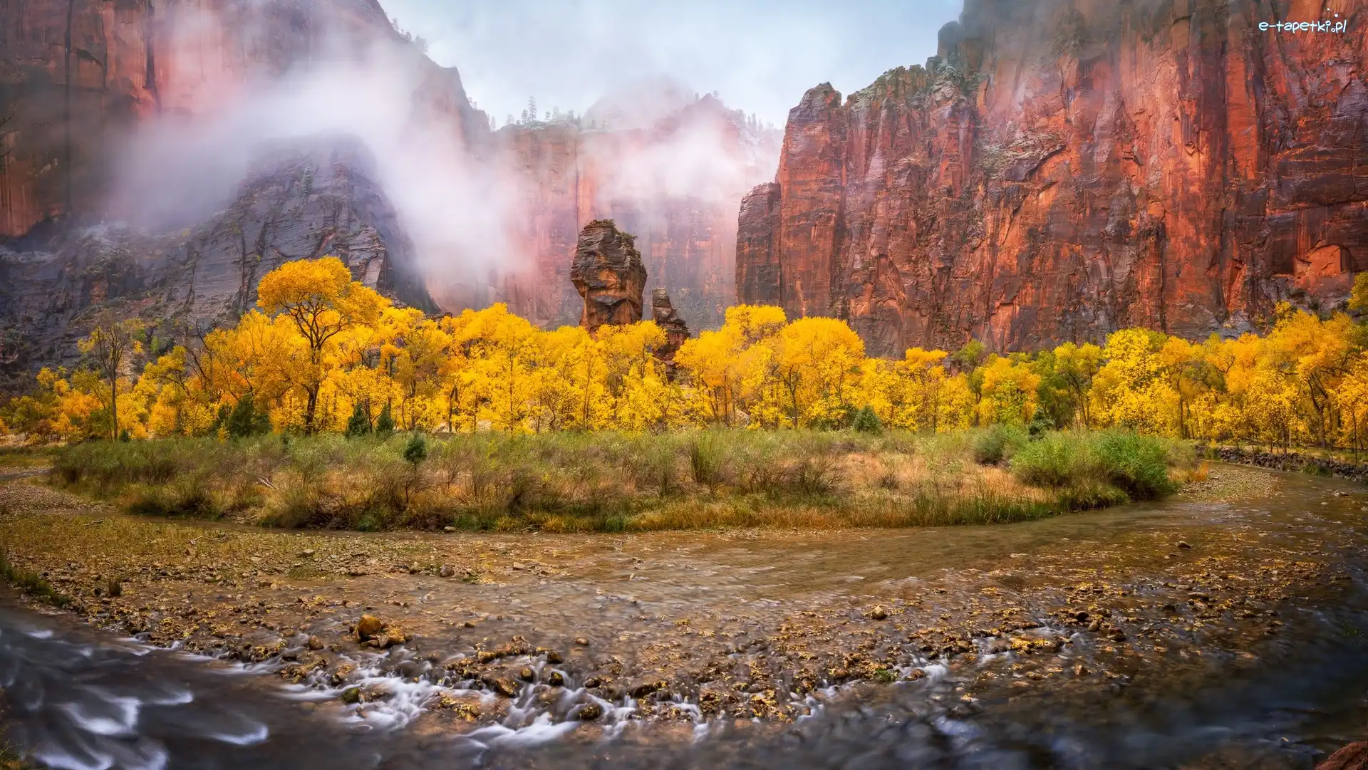 Stany Zjednoczone, Drzewa, Jesień, Skały, Park Narodowy Zion, Stan Utah, Rzeka