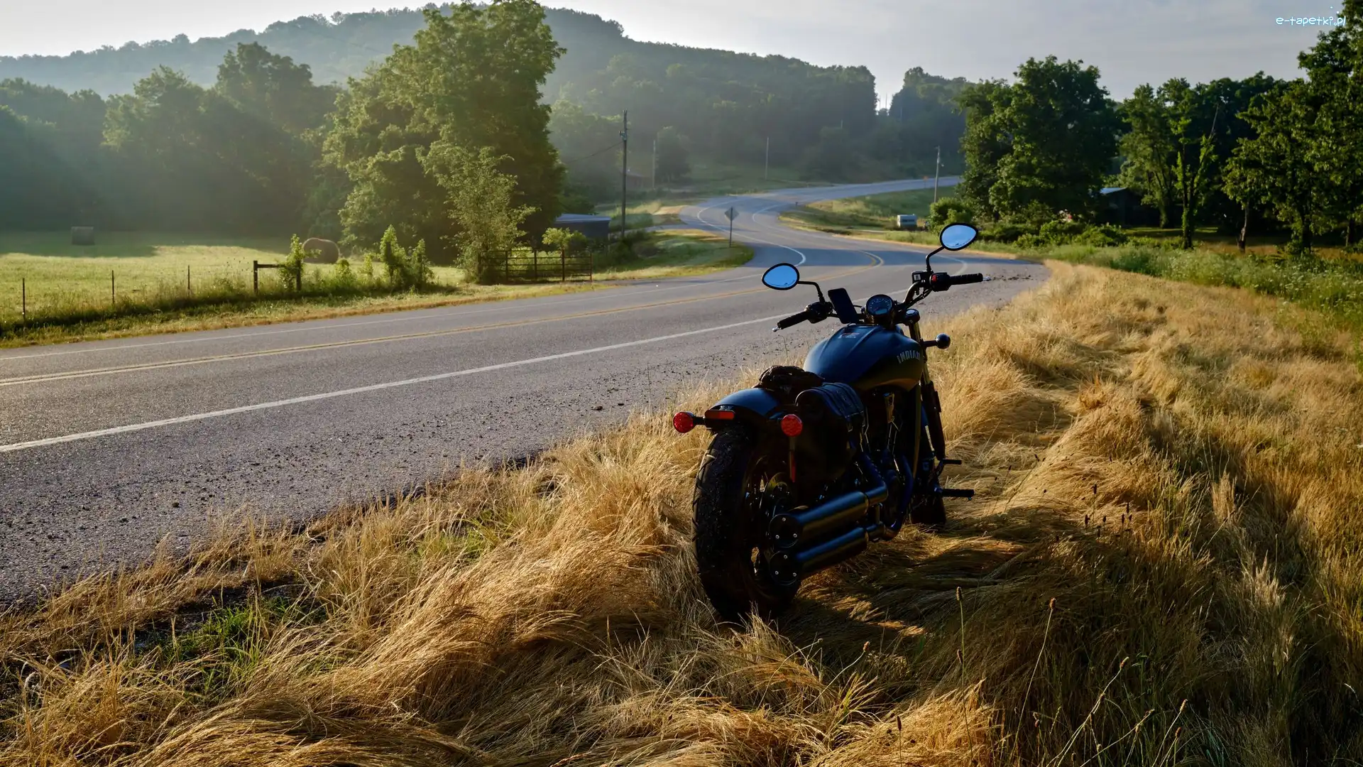 Drzewa, Droga, Motocykl Indian