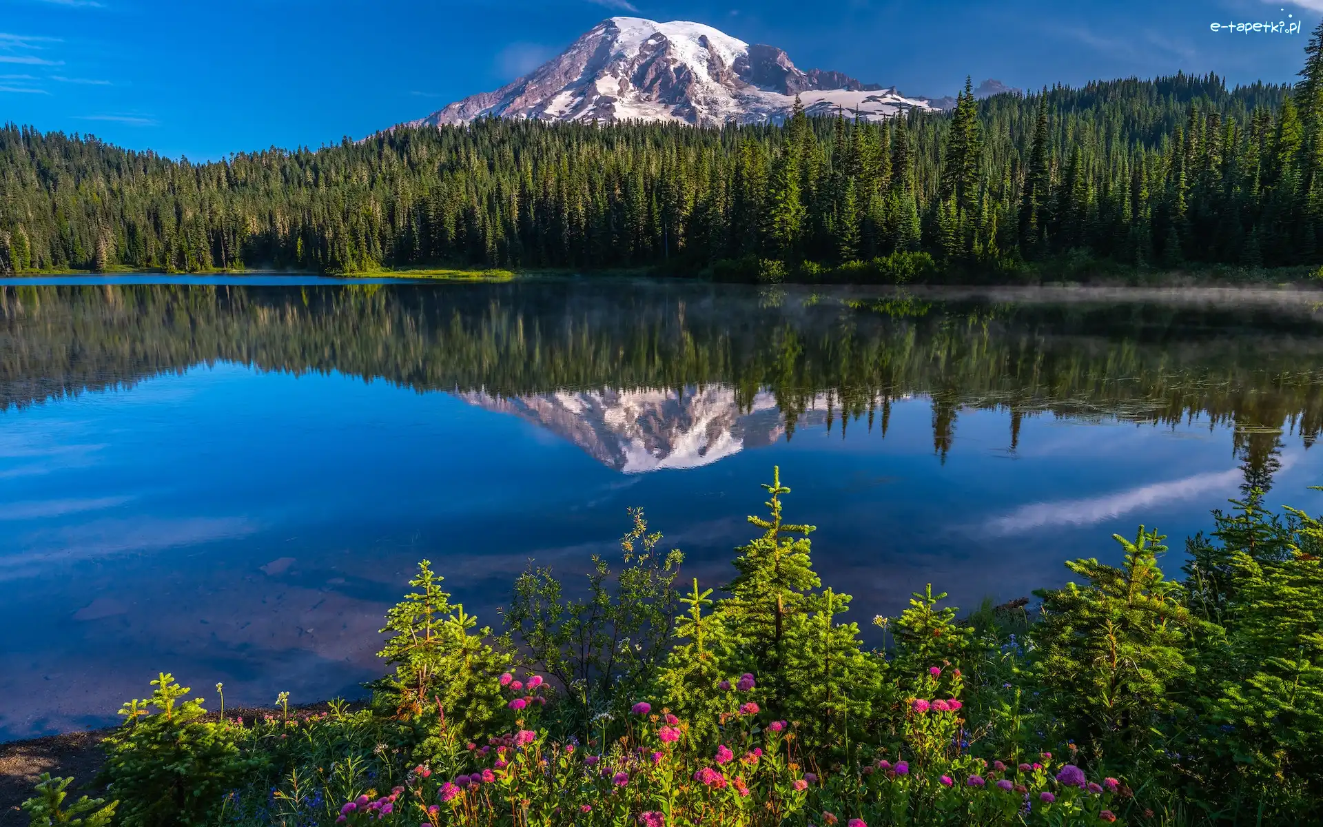 Reflection Lake, Jezioro, Park Narodowy Mount Rainier, Stan Waszyngton, Stany Zjednoczone, Odbicie, Drzewa, Góry, Kwiaty