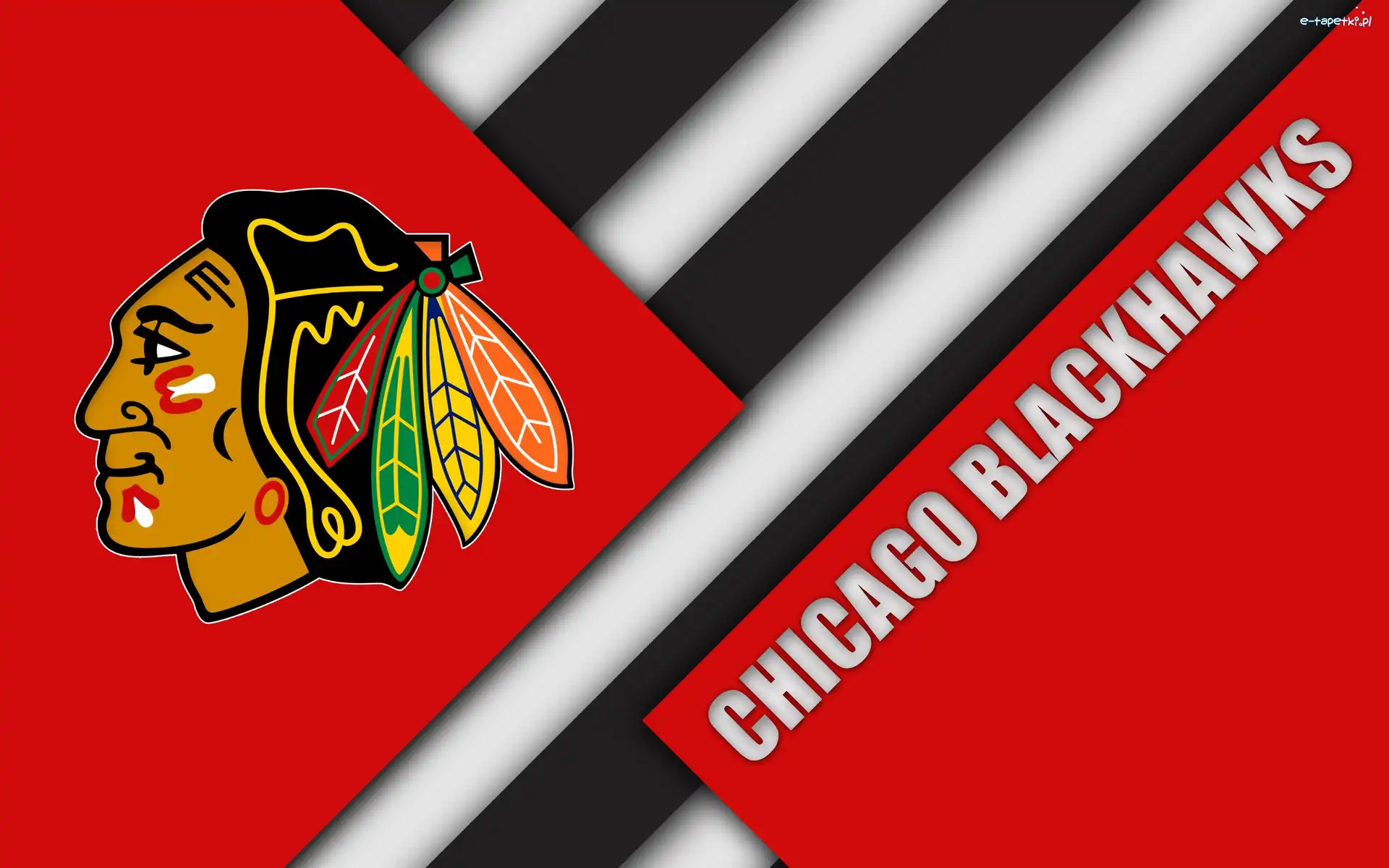 Chicago Blackhawks, Hokej, Klub hokejowy