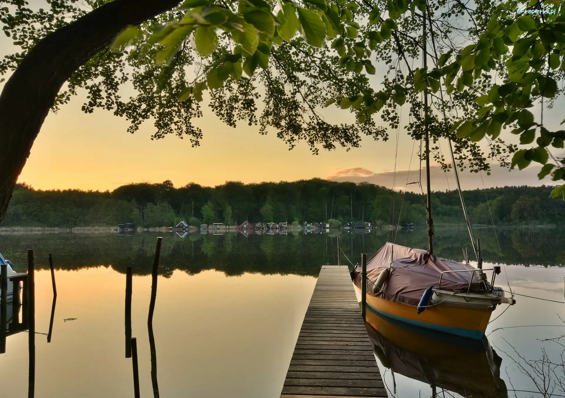 Jezioro, Drzewo, Pomost, Żaglówka