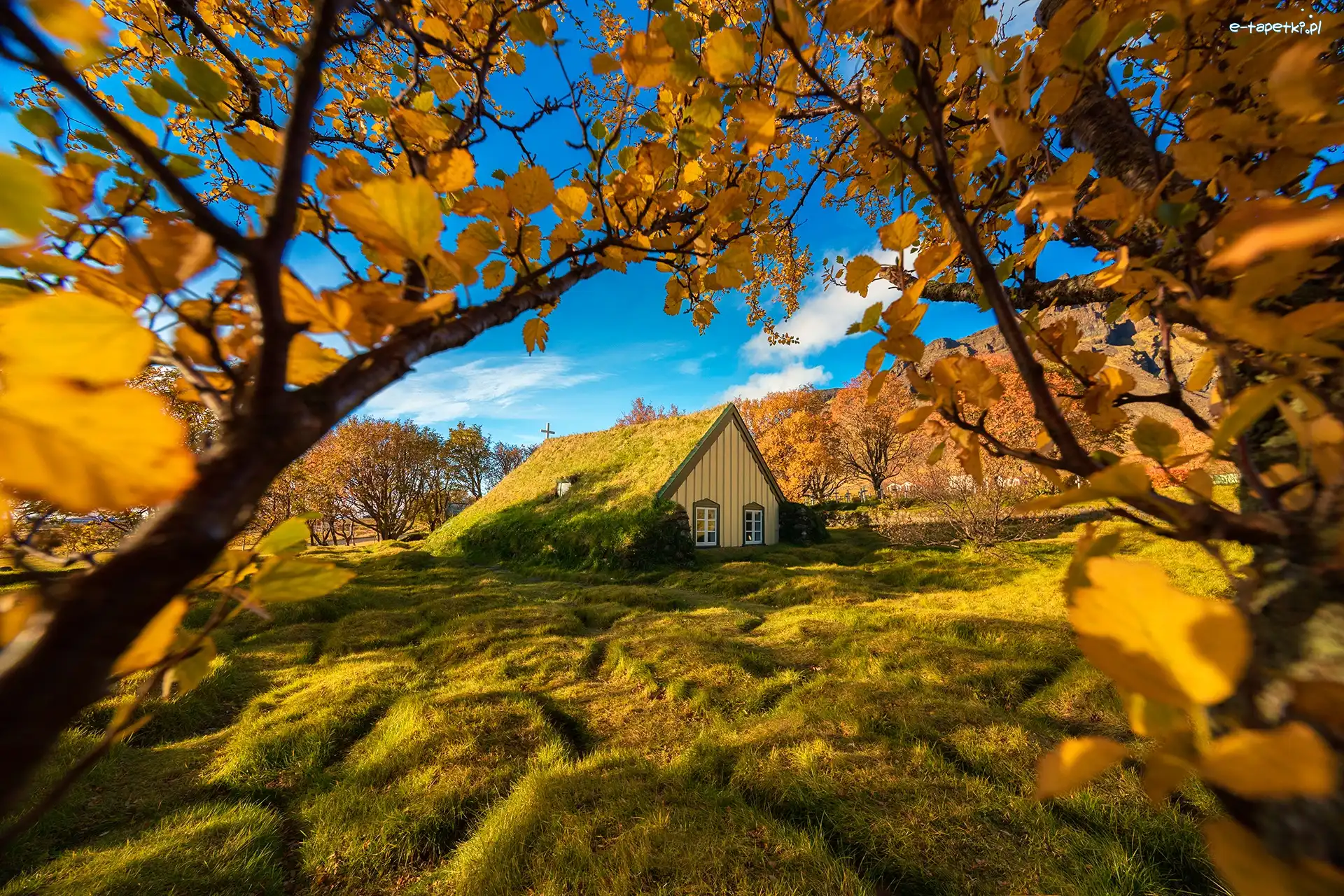 Jesień, Kościół Hofskirkja, Murawa, Hof, Islandia, Gałęzie, Drzewa