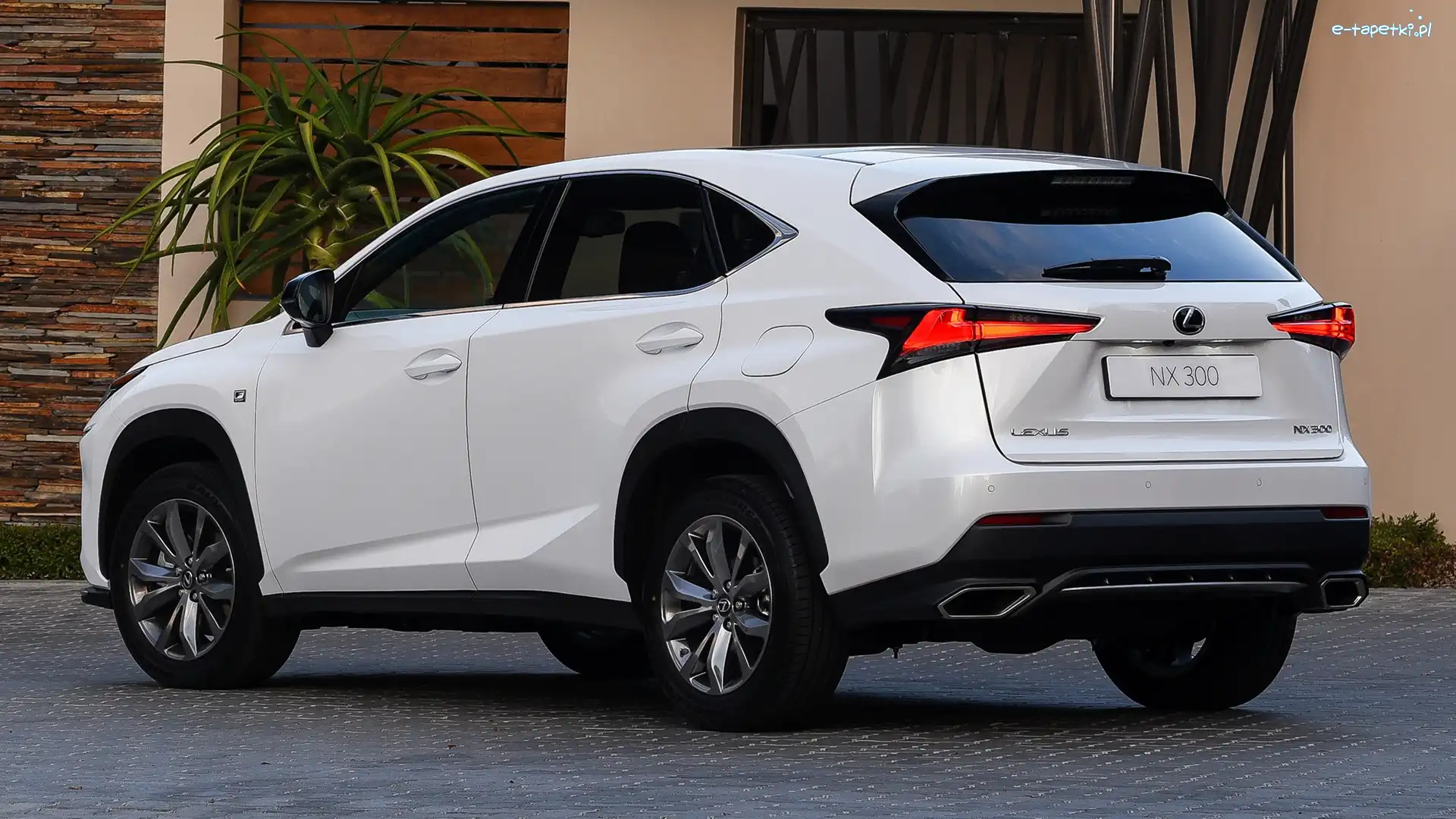 F-Sport, Lexus NX