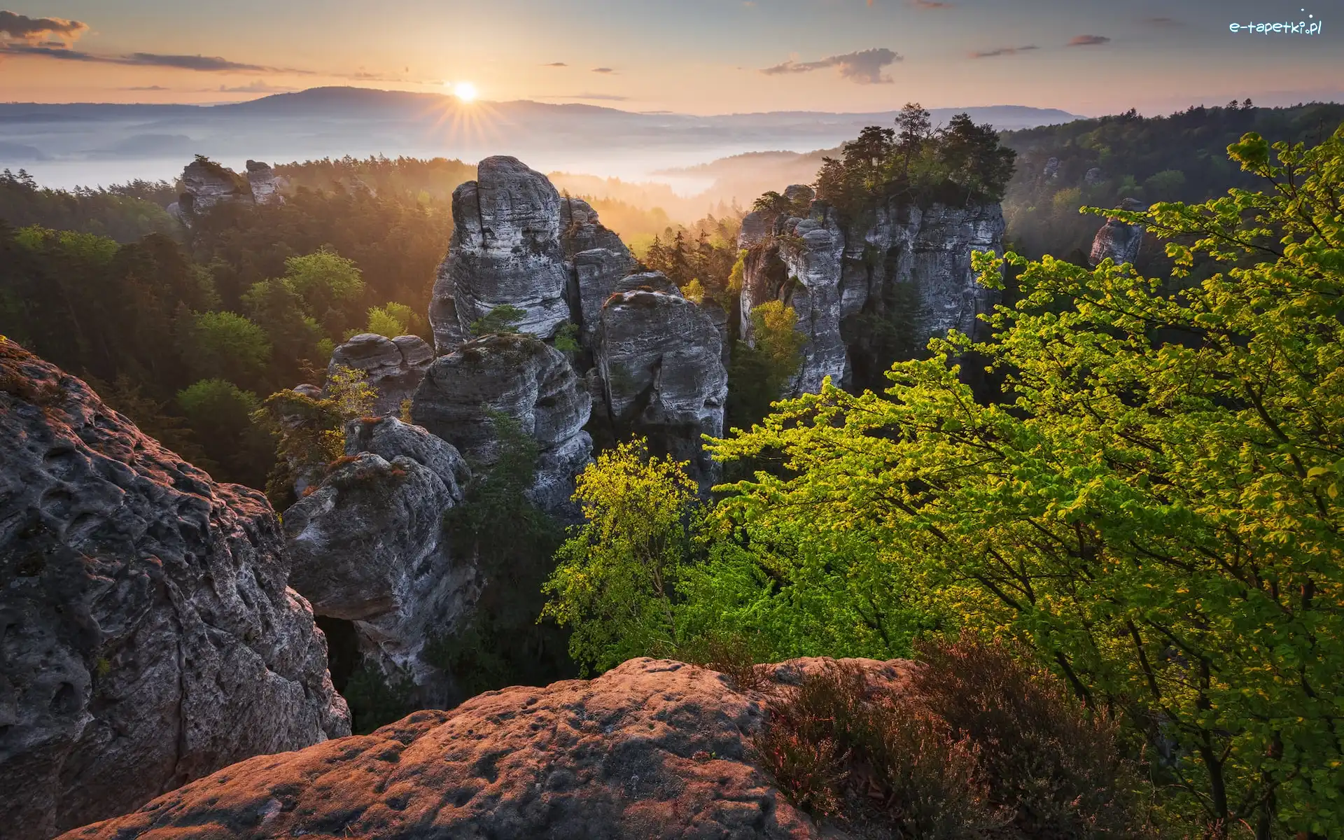 Wschód słońca, Skały, Góry, Lasy, Drzewa