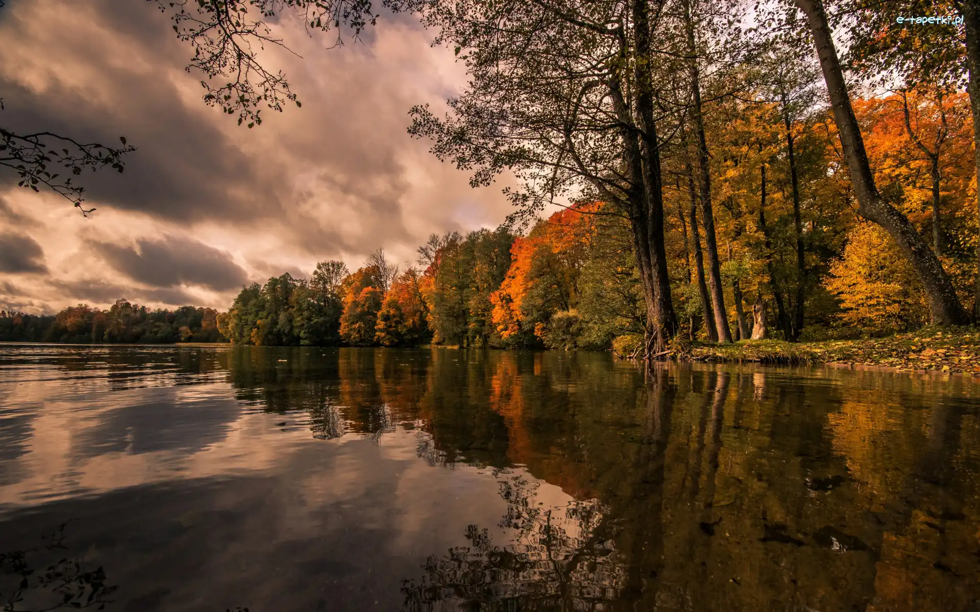 Jezioro, Drzewa, Chmury, Jesień