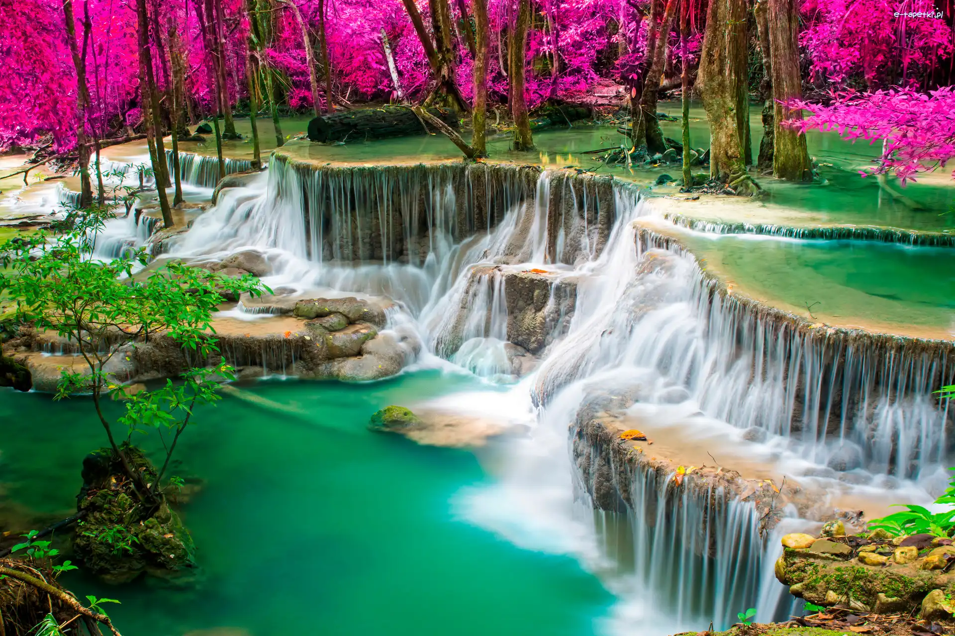 Tajlandia, Kolorowe, Drzewa, Kaskada, Wodospad Erawan, Prowincja Kanchanaburi, Park Narodowy Erawan