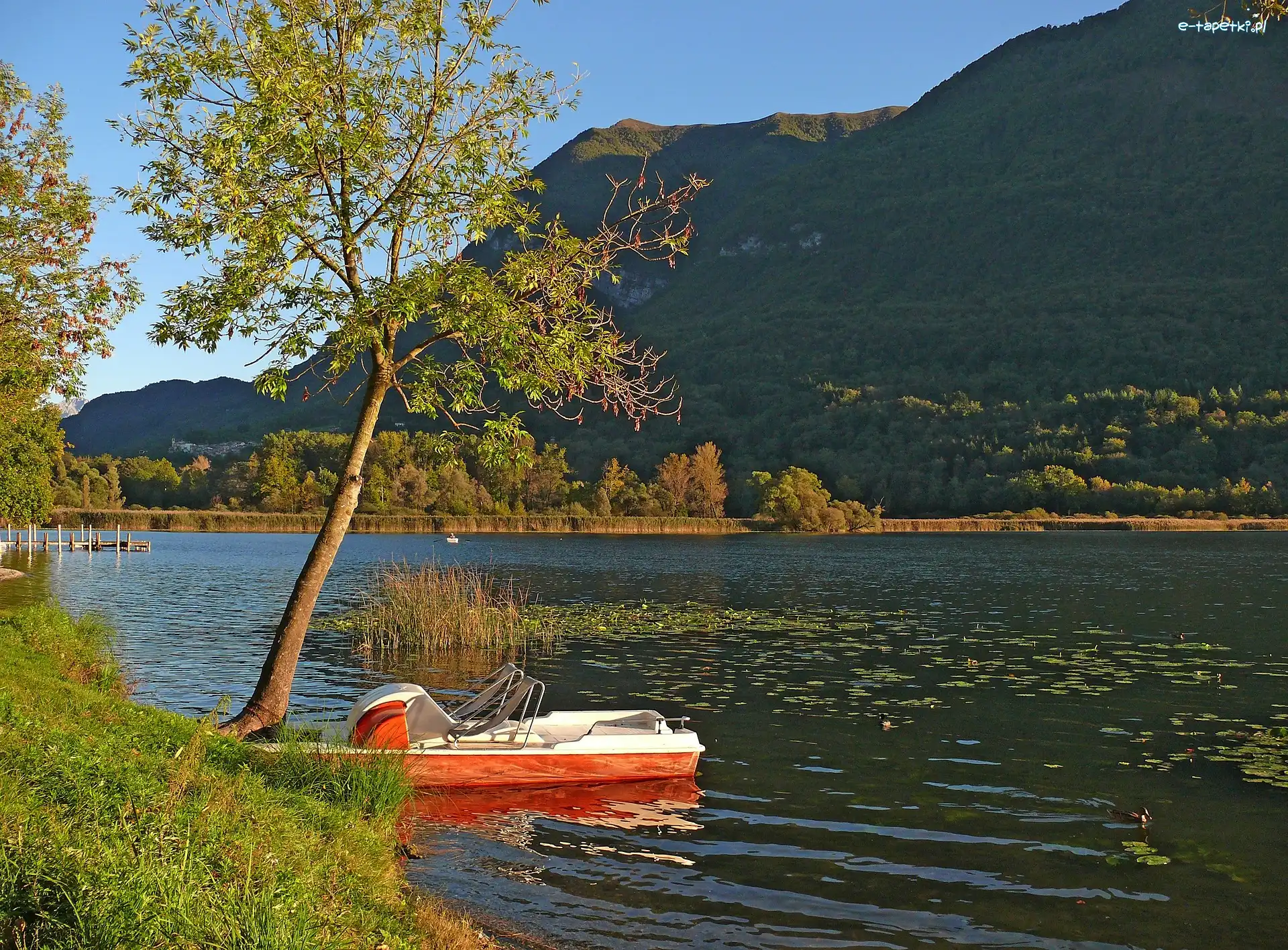 Rower wodny, Góra, Drzewo, Jezioro