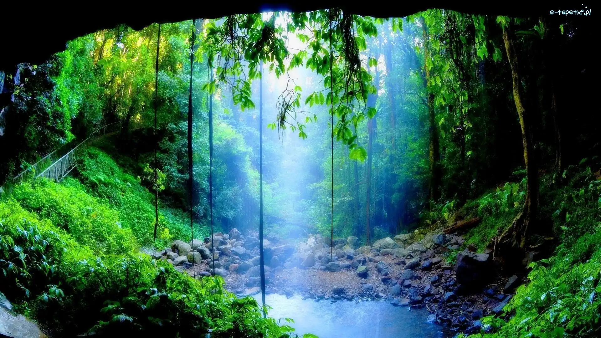 Nowa Południowa Walia, Crystal Shower Falls, Rośliny, Australia, Wodospad, Park Narodowy Dorrigo