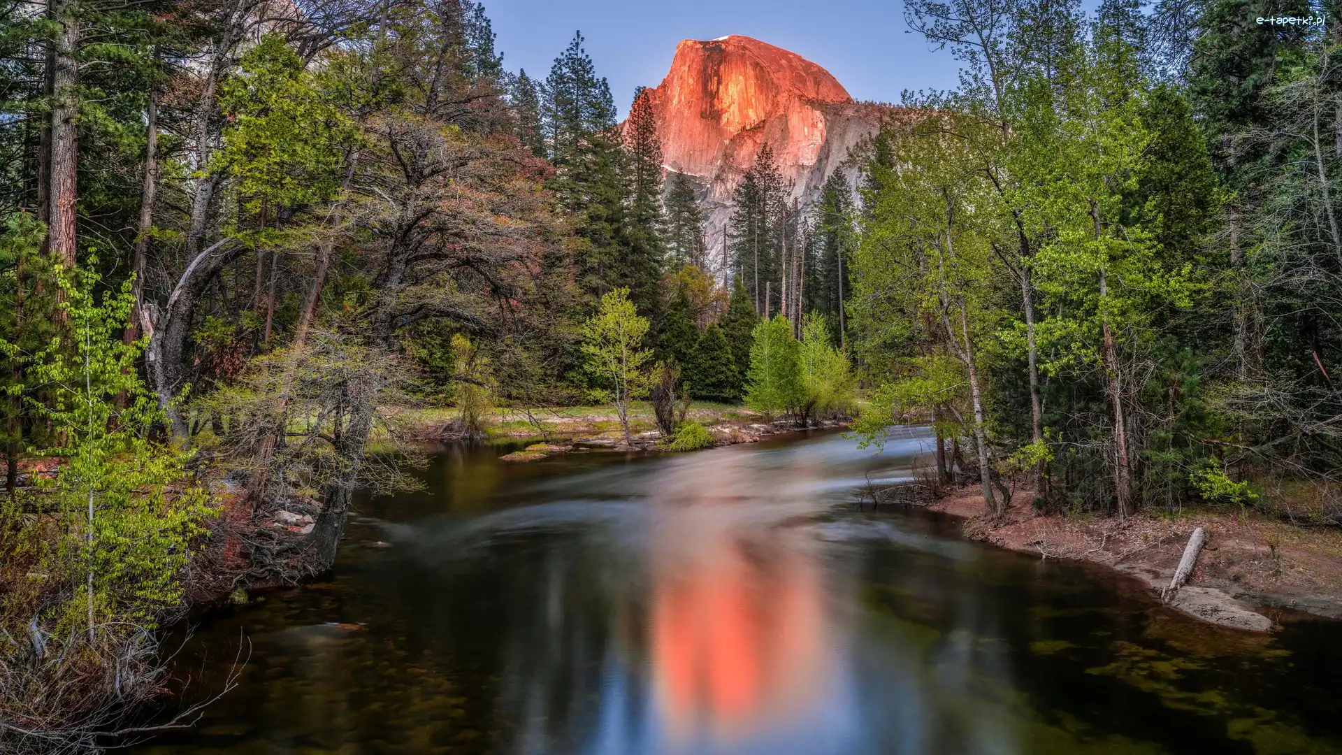 Drzewa, Merced River, Szczyt Half Dome, Góry, Park Narodowy Yosemite, Stany Zjednoczone, Kalifornia, Rzeka, Las