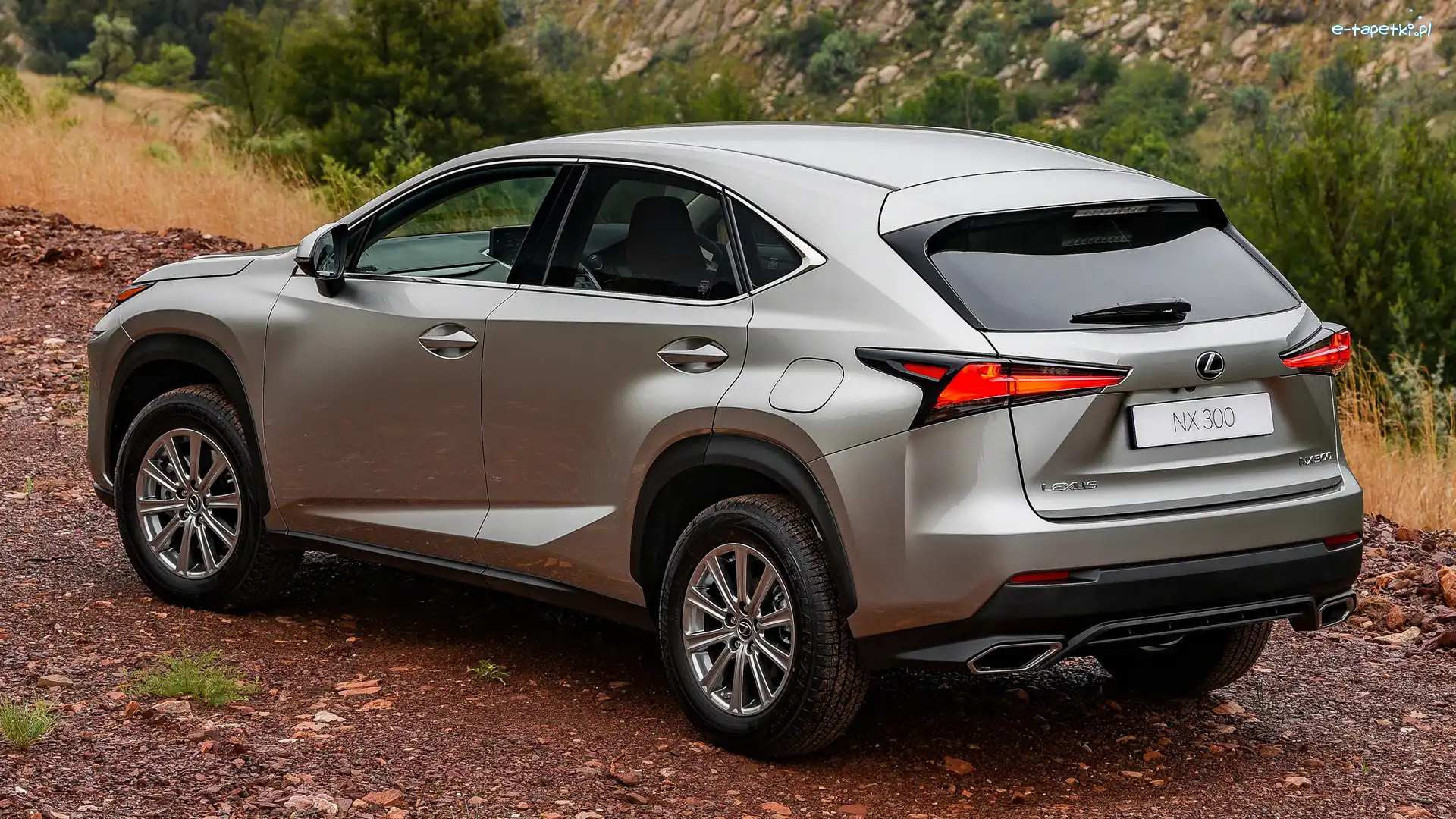 Tył, Bok, Lexus NX