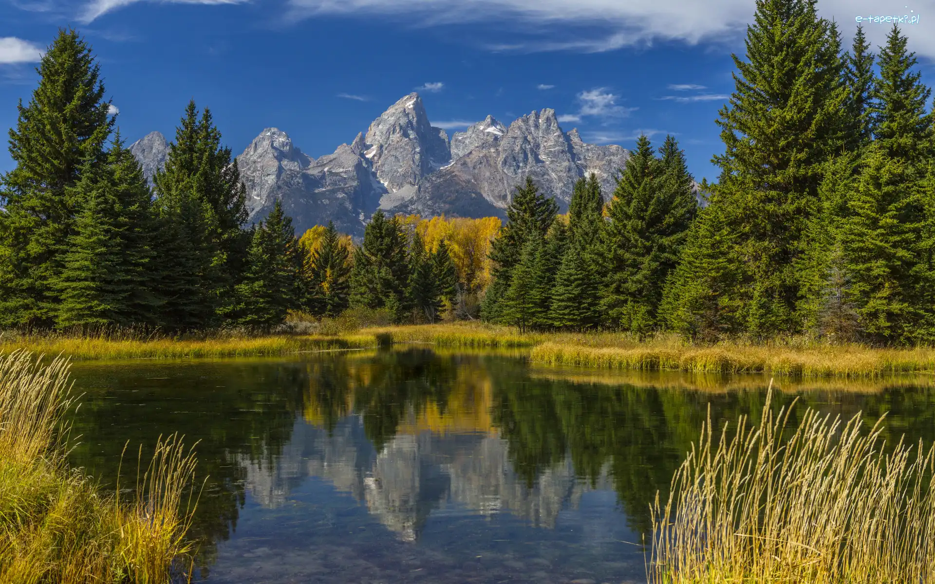 Snake River, Rzeka, Drzewa, Góry Skaliste, Park Narodowy Grand Teton, Stany Zjednoczone, Stan Wyoming, Trawa, Odbicie