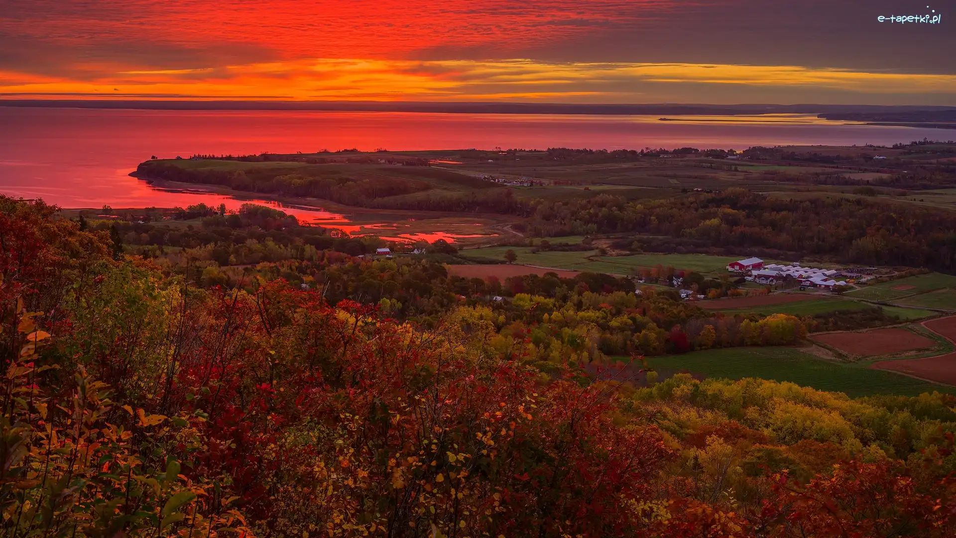 Lasy, Nowa Szkocja, Wschód słońca, Morze, Annapolis Valley, Drzewa, Jesień, Kanada