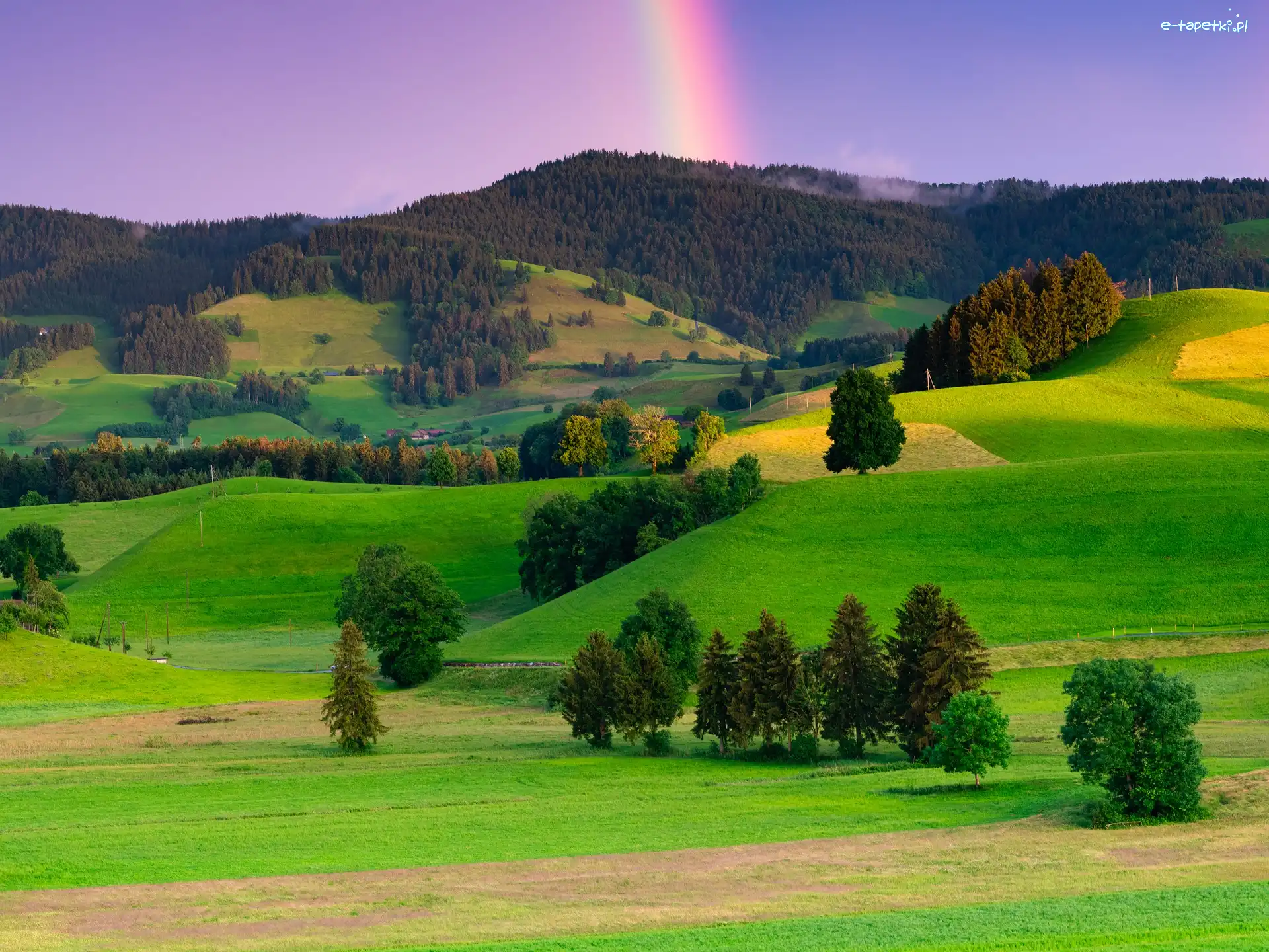 Wzgórza, Drzewa, Góry, Pola, Las, Tęcza